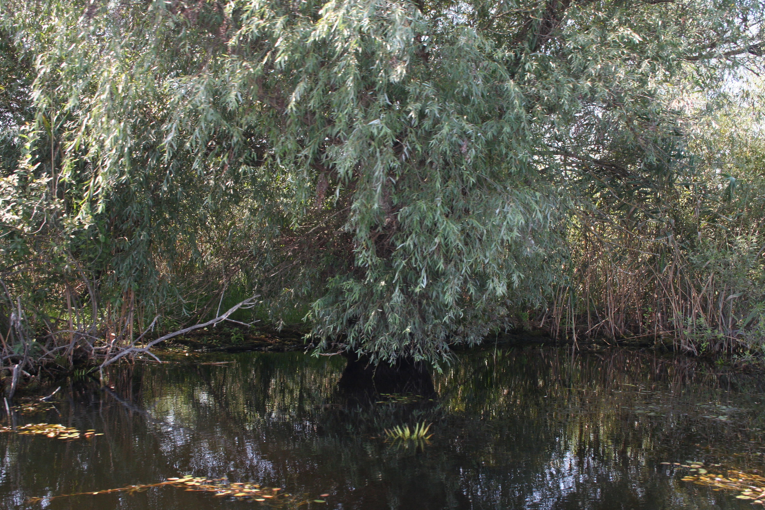 ref-00024.jpg