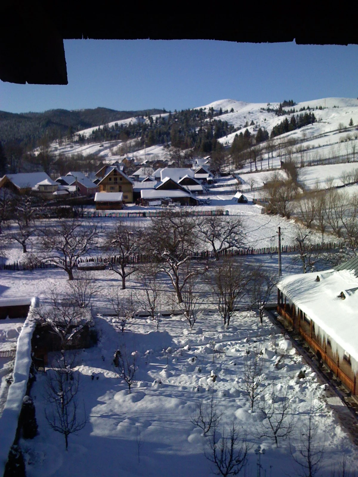 ref-00061.jpg
