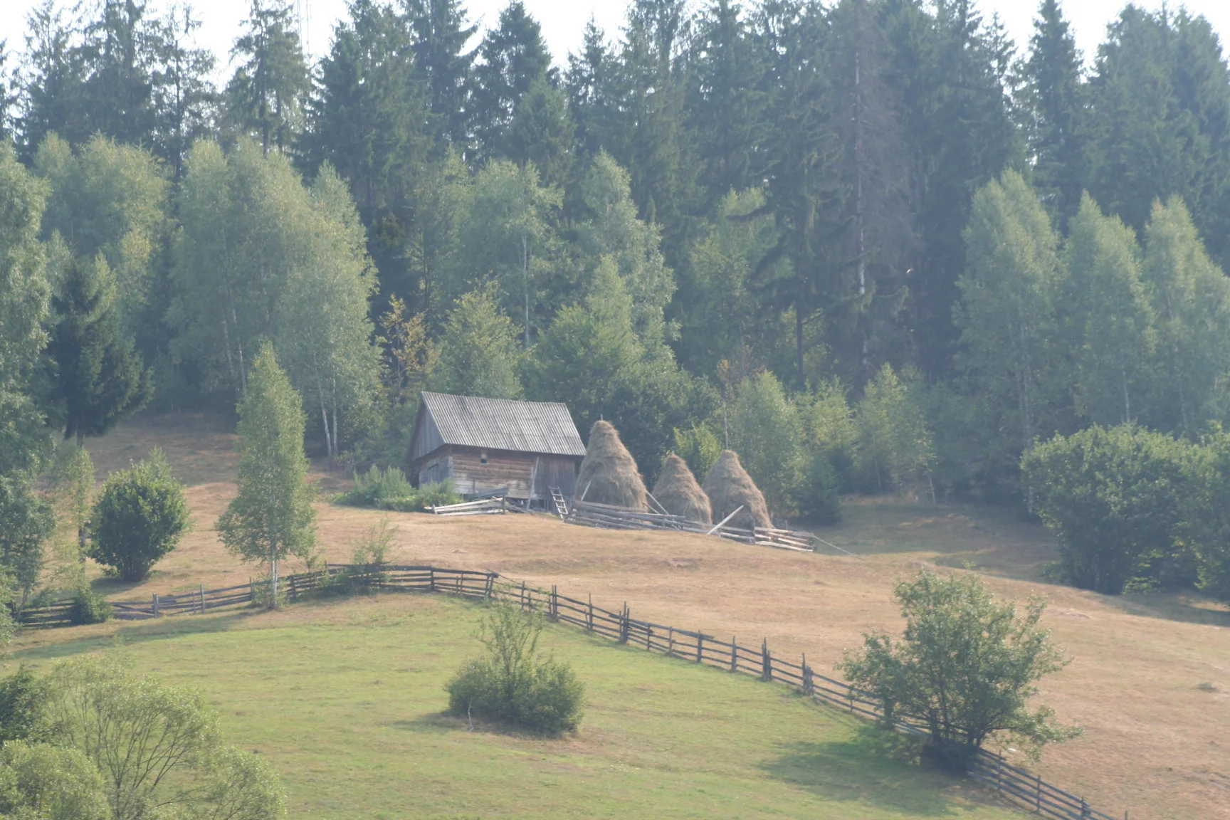 ref-00063.jpg