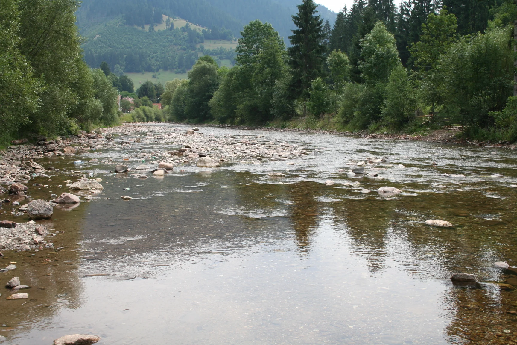 ref-00070.jpg