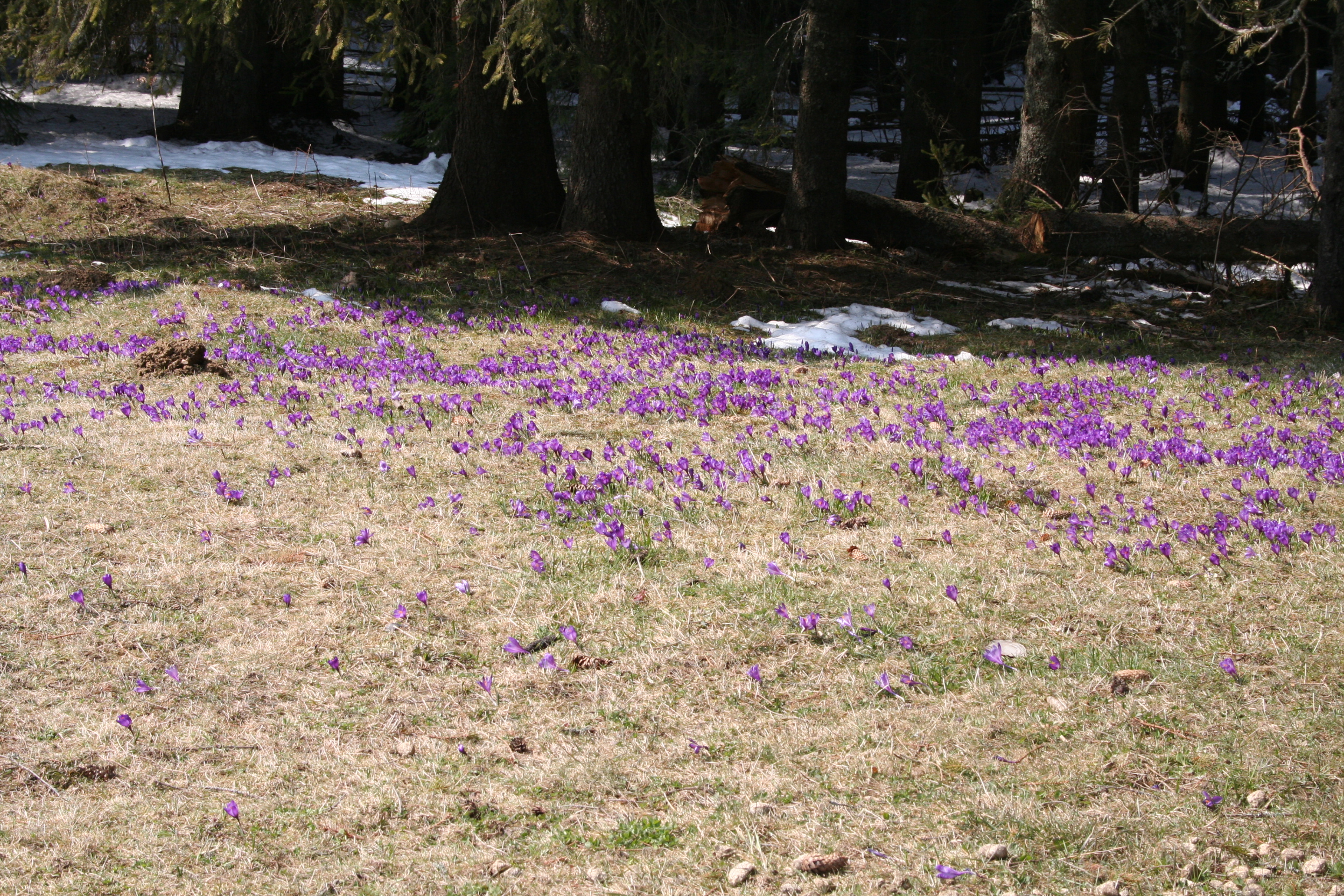 ref-00091.jpg