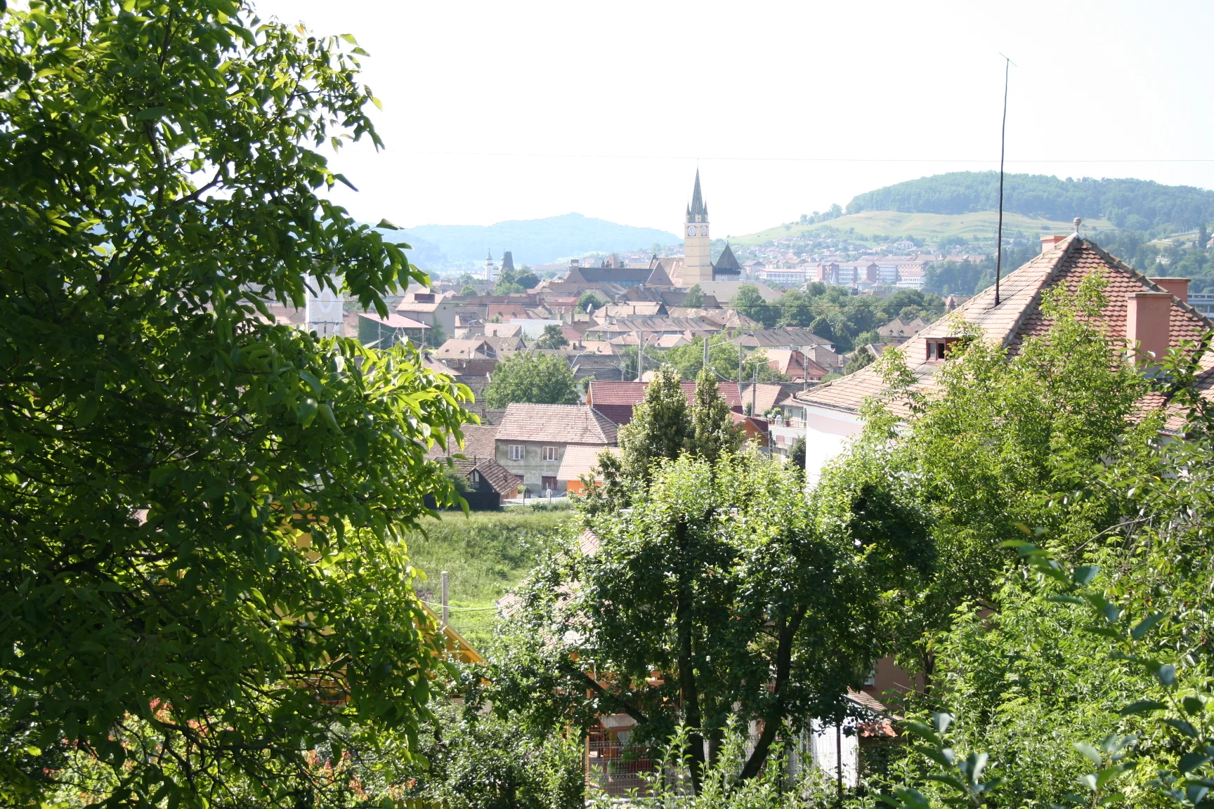 ref-00105.jpg