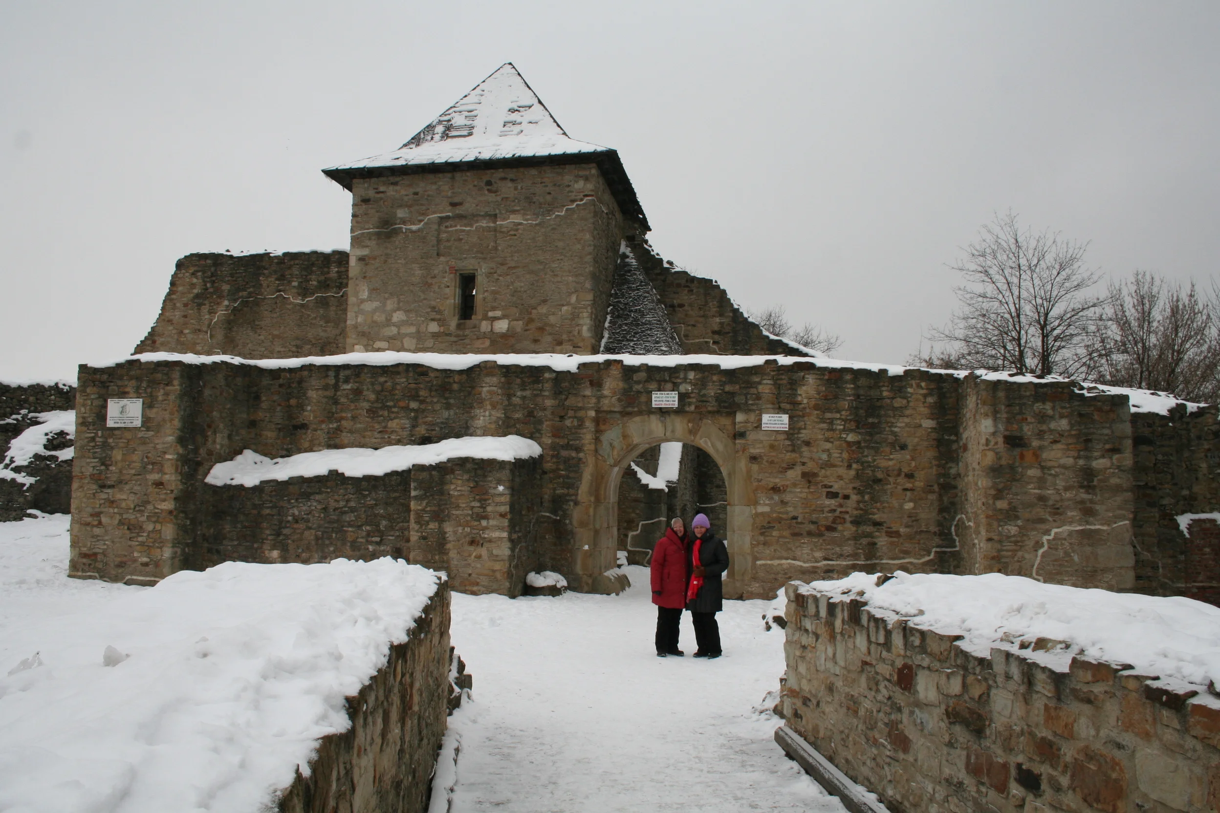 ref-00123.jpg
