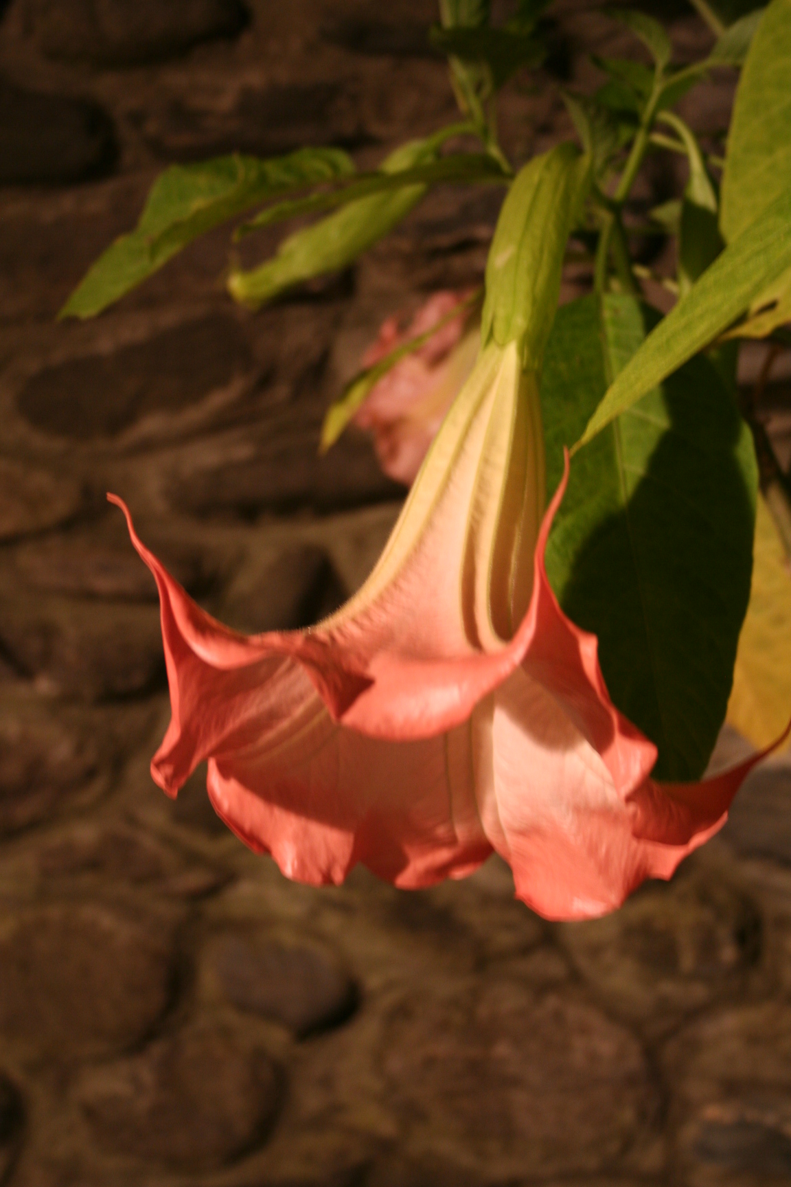ref-00145.jpg