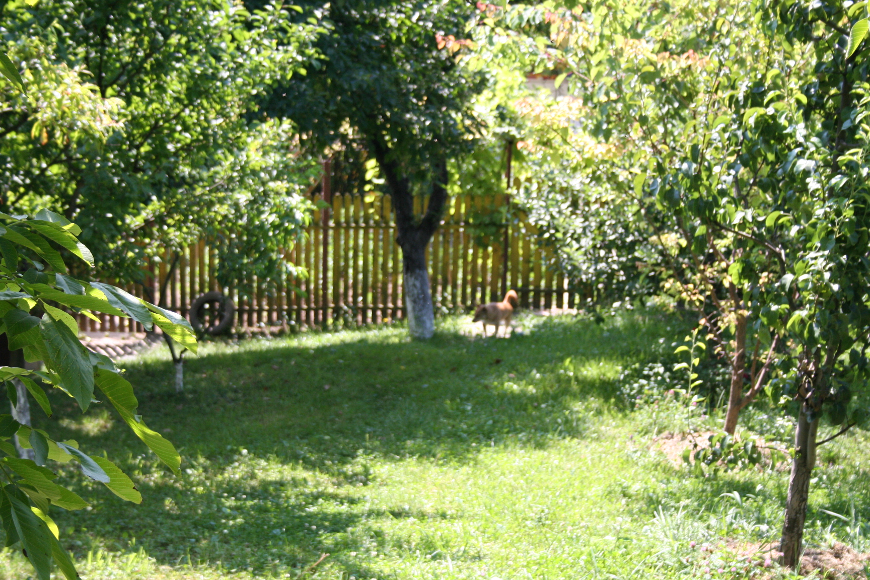 ref-00165.jpg