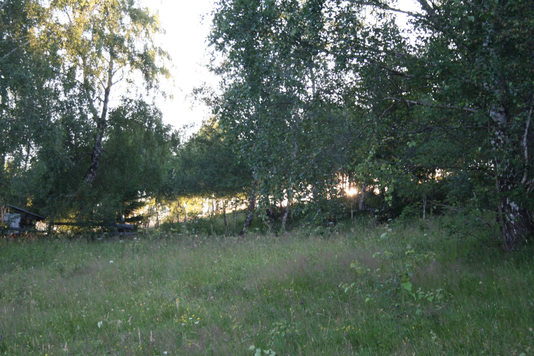 ref-00192.jpg