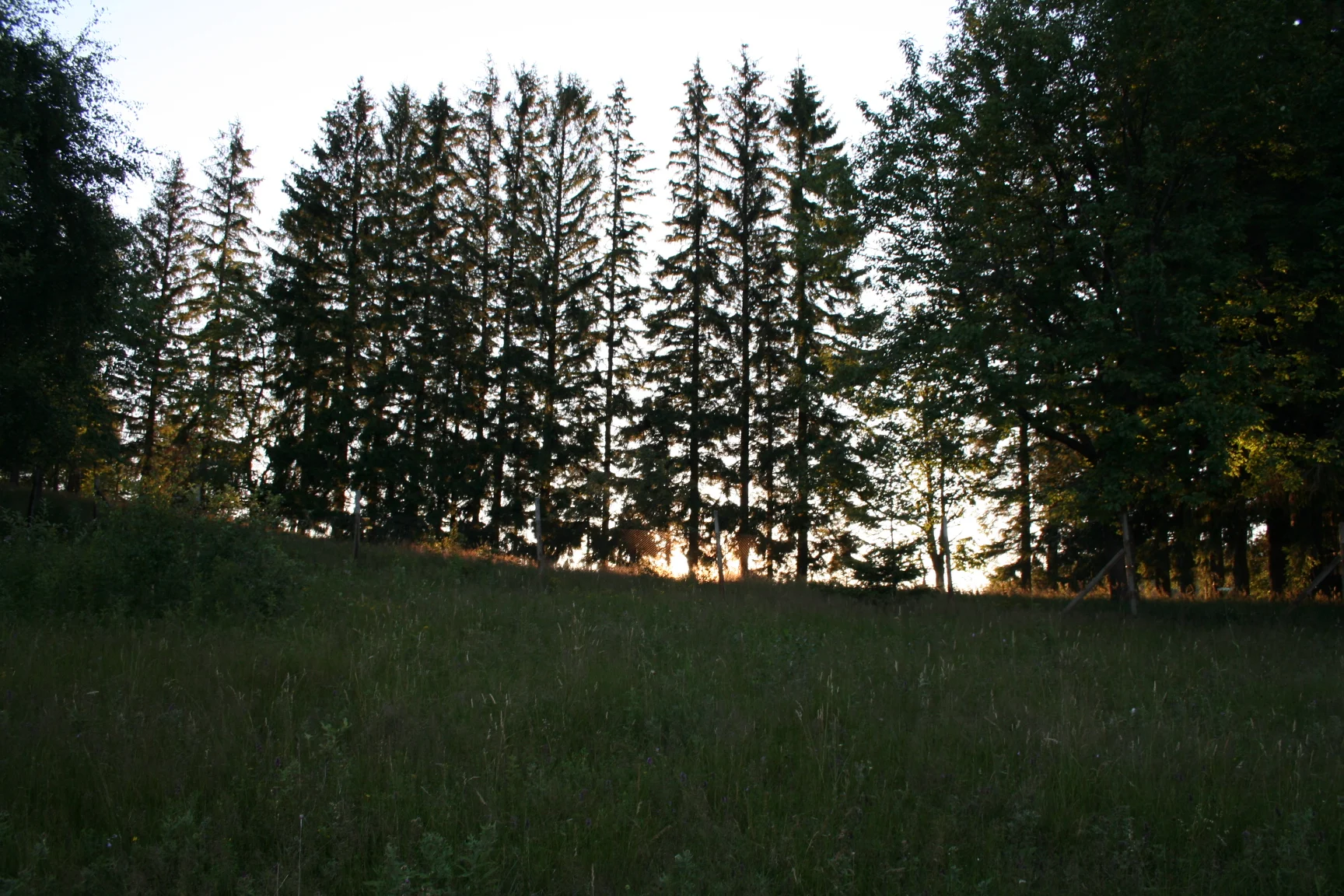 ref-00193.jpg