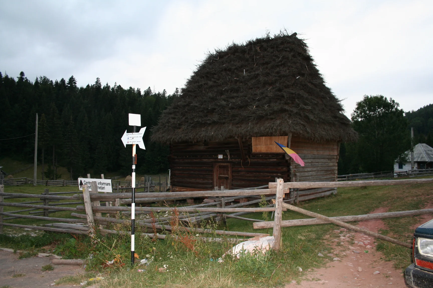 ref-00203.jpg