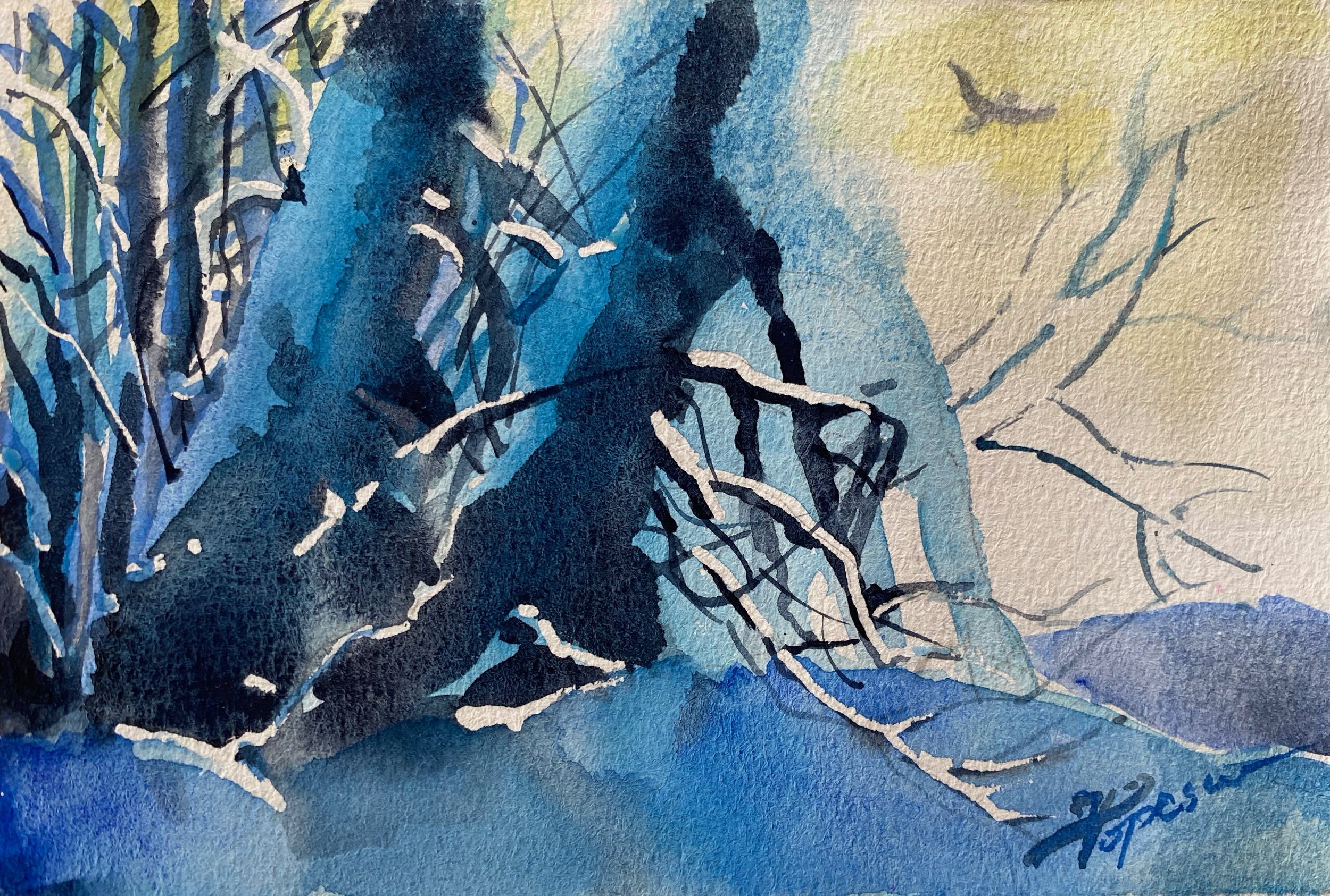 Trunchiuri în iarnǎ