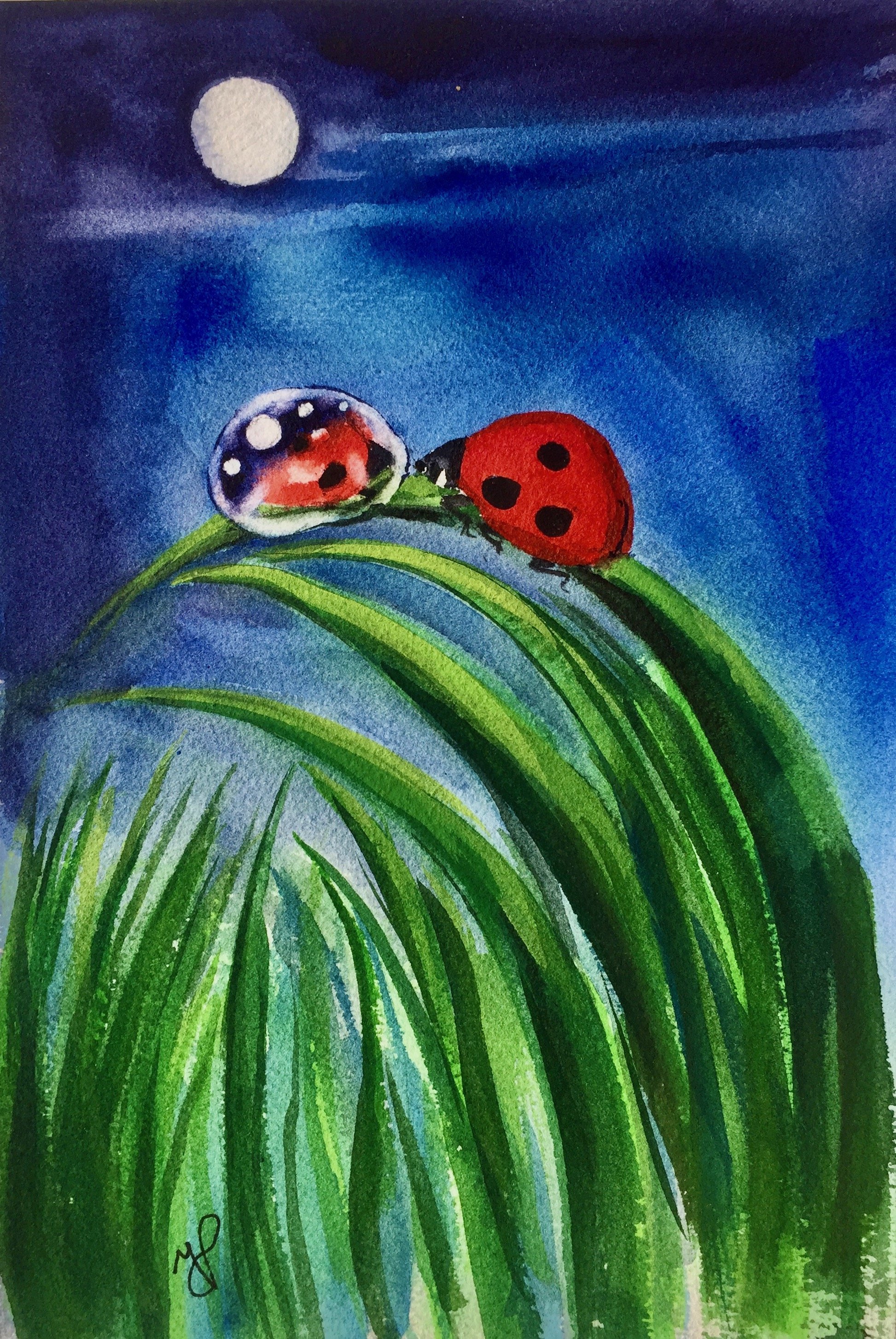 Un strop de rouǎ-oglida buburuzei