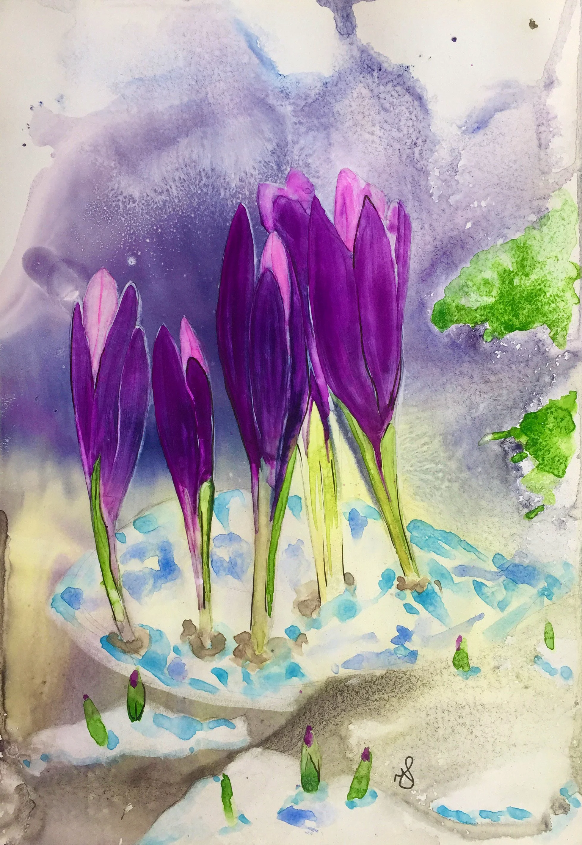 Ochi de zǎpadǎ - iarna la pândǎ dupǎ coline