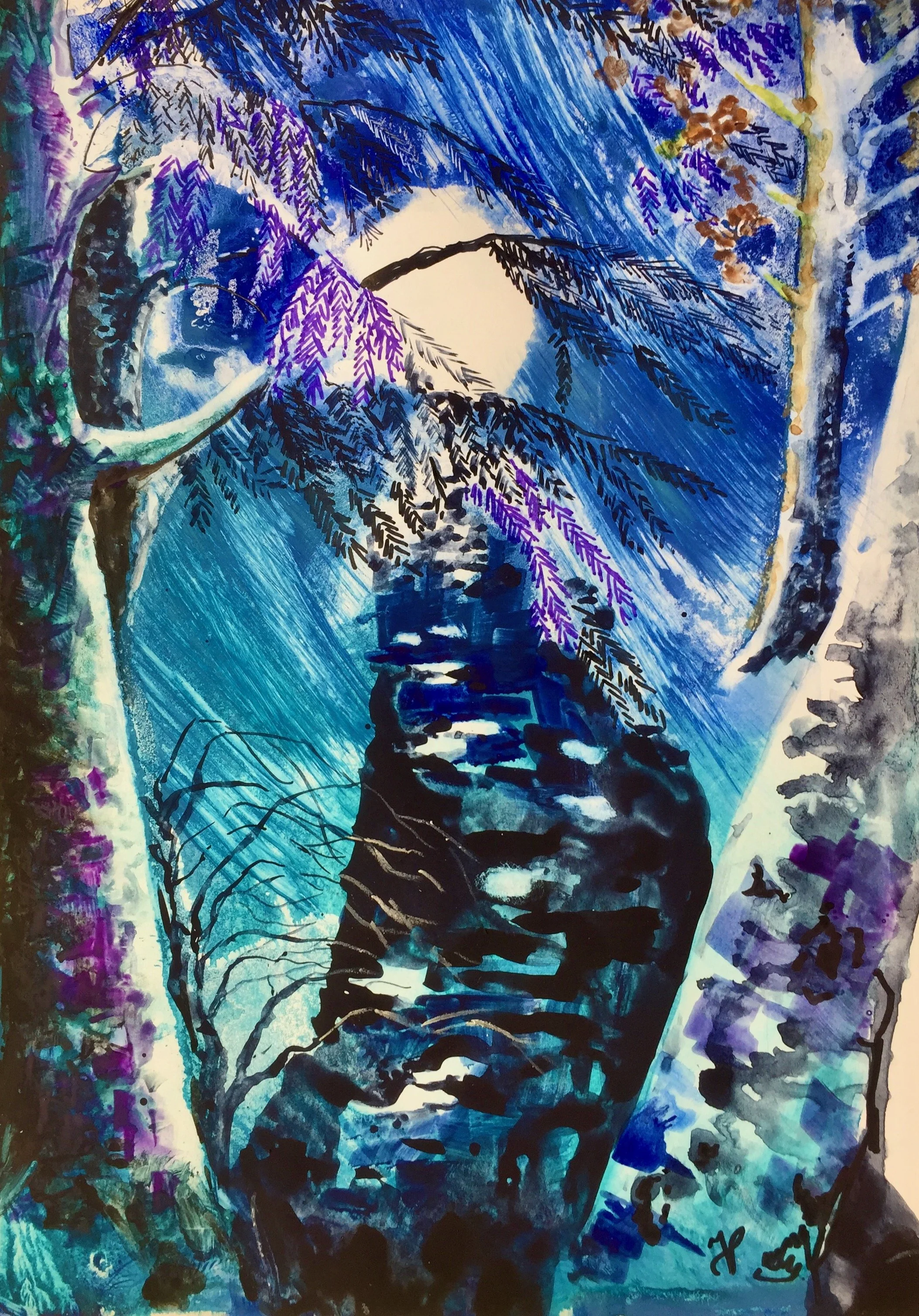 Cioburi de lunǎ- e iarnǎ