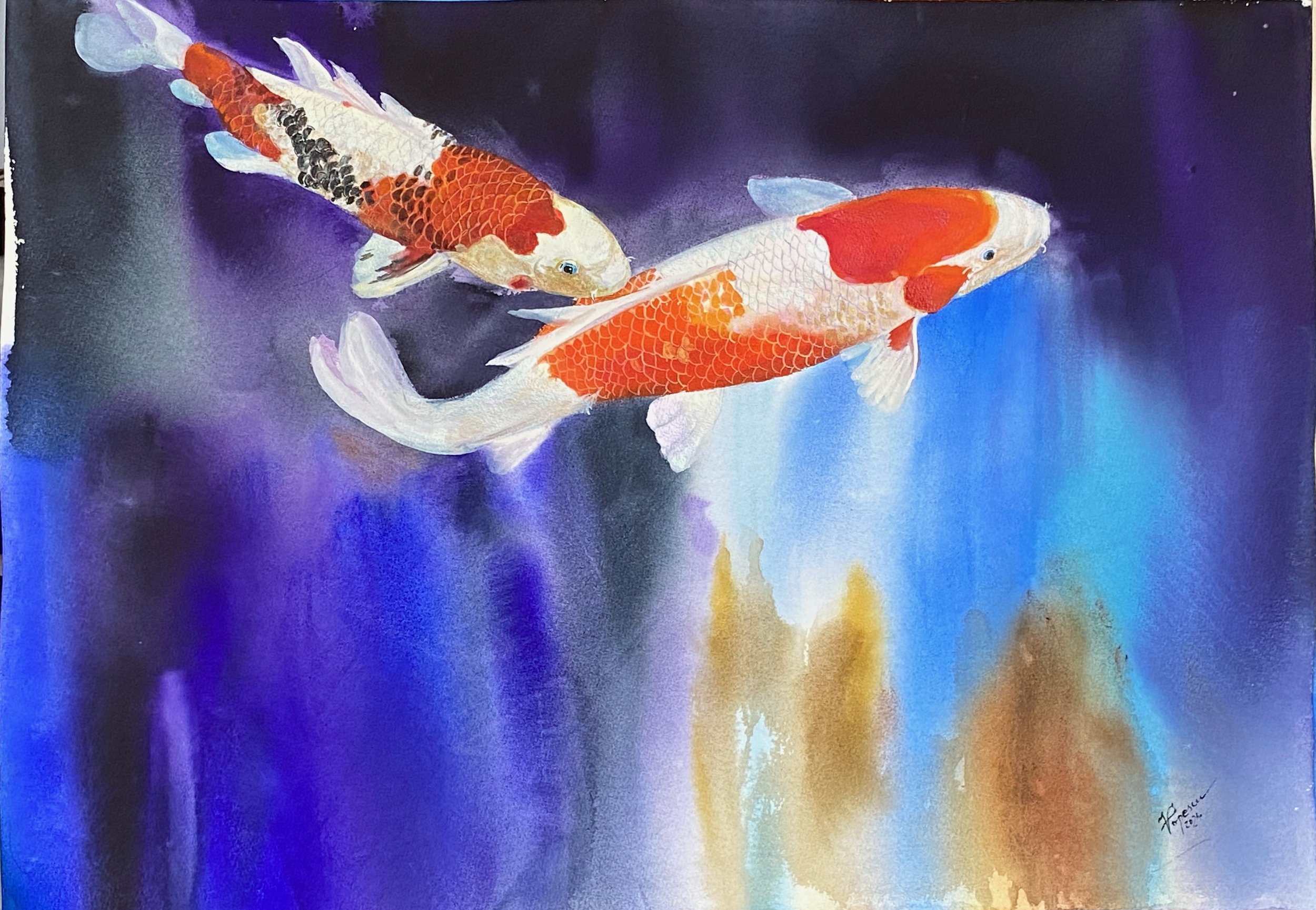 Liniștea acvariului- peștii