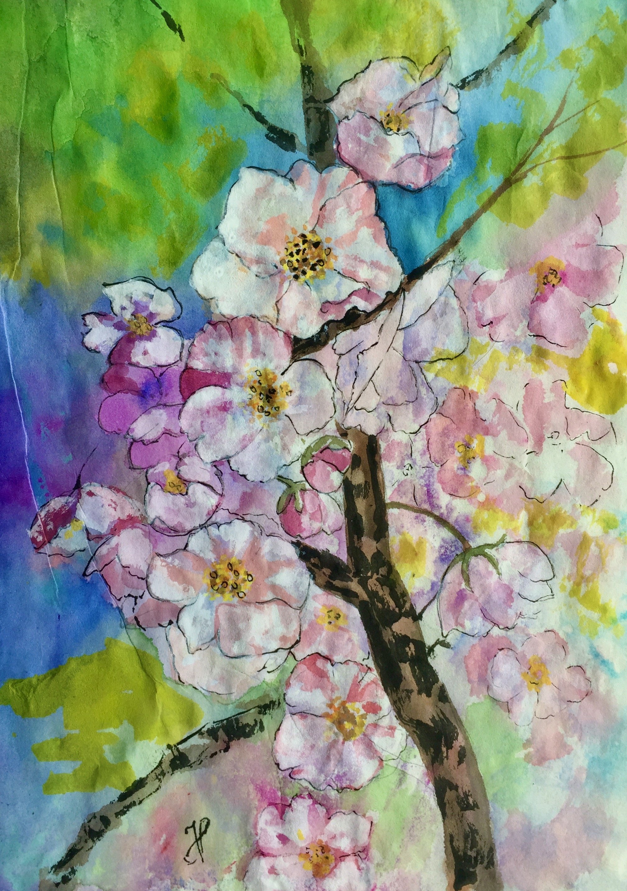 Flori de cais-gingǎșia firii