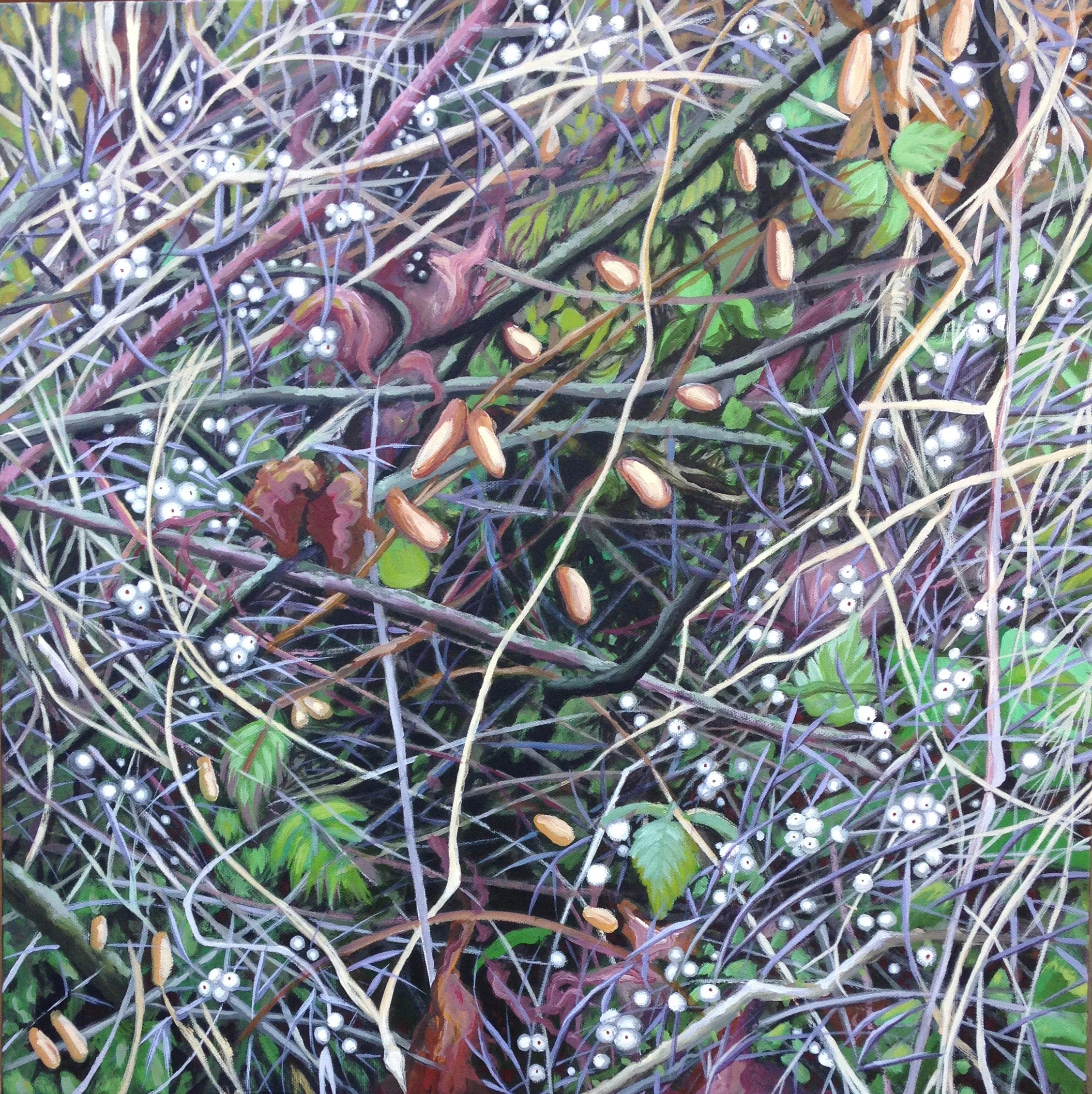 Snowberry
