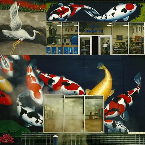 Koi Fish