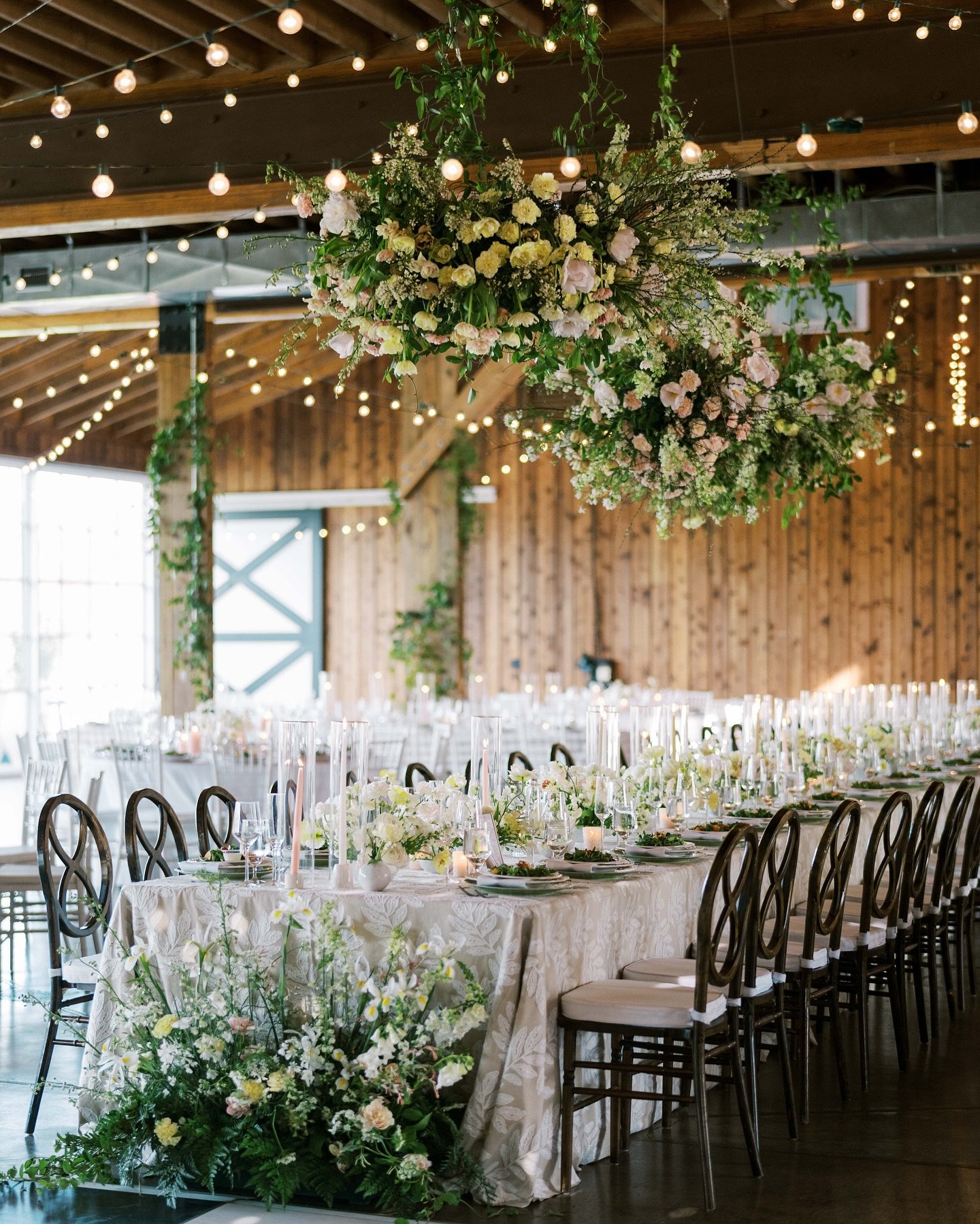 Lindsay &amp; Will&rsquo;s gorgeous reception design will always feel like peak springtime to me ✨🌼🌿🌷 // @daybyfayweddings @castlehillcider @mallory_joyce @bbjlatavola @paisleyandjade @emersonjamesrental @mseventscville @vatentrental @blueridgeeve