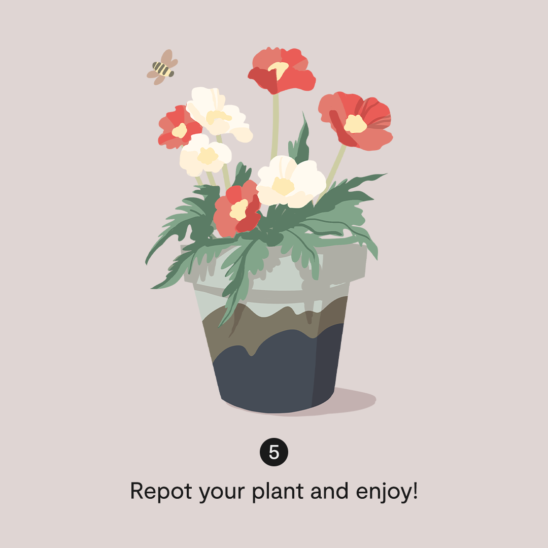 BMC_PaintingPlanters_1x1_F.png