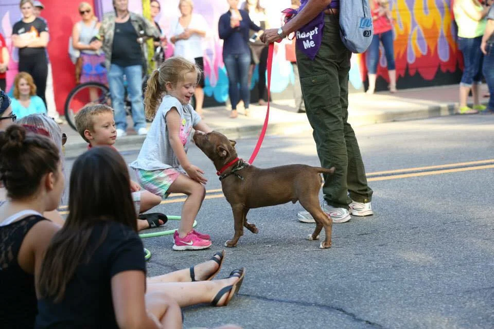 The kids loved having a front row seat to play with the dogs
