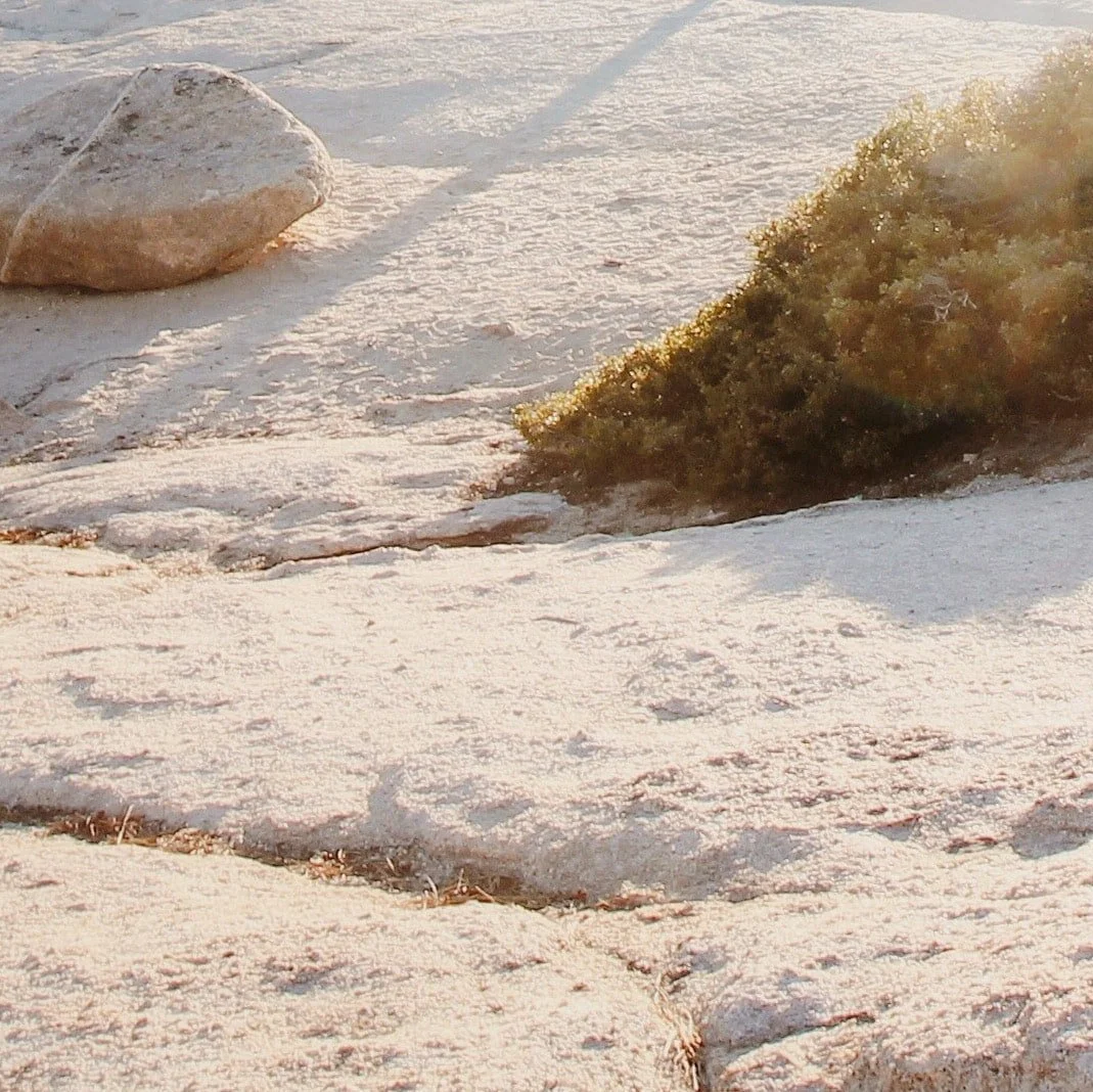 Leo Full Moon Miniscopes