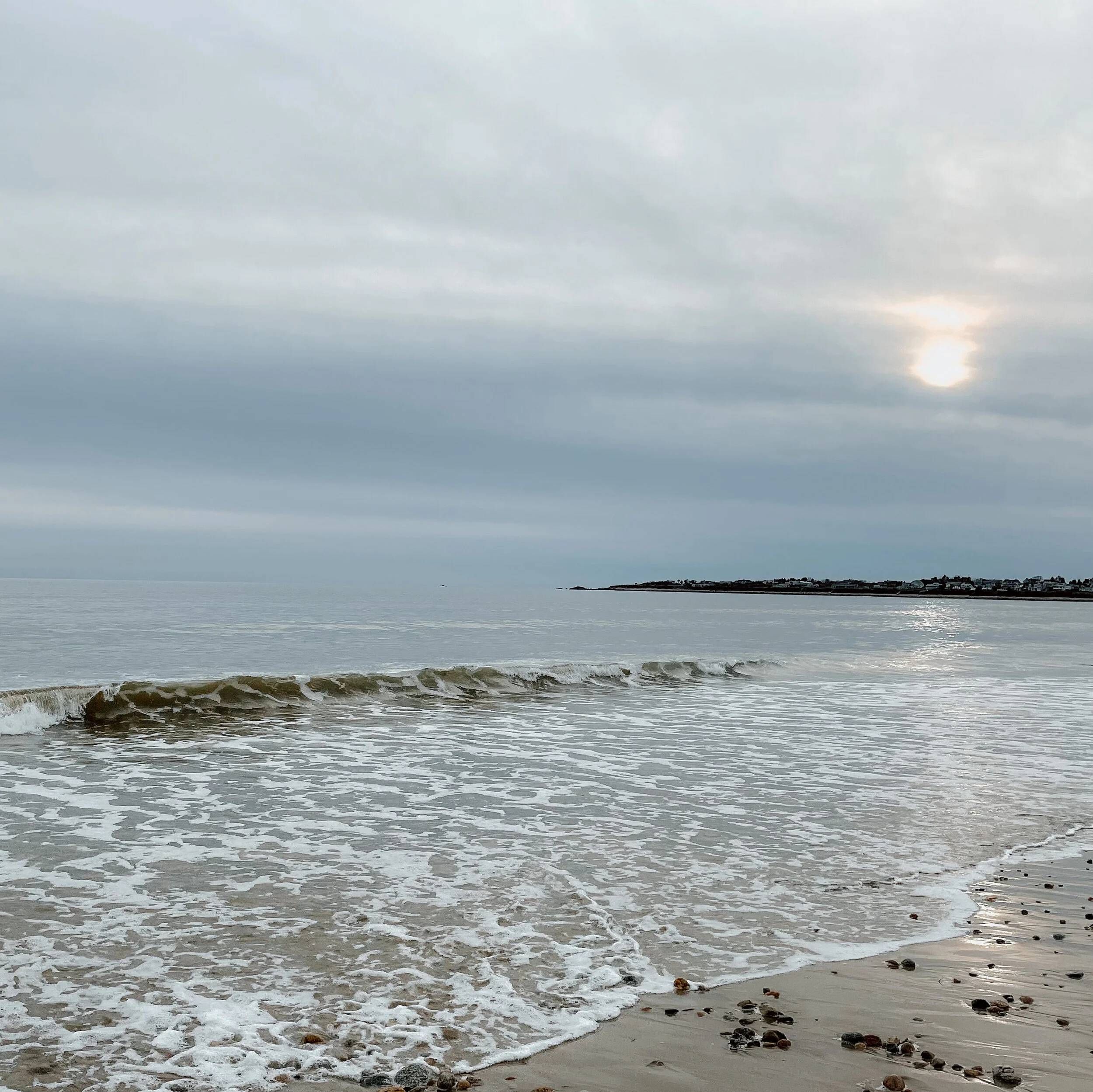 Cancer Full Moon Miniscopes