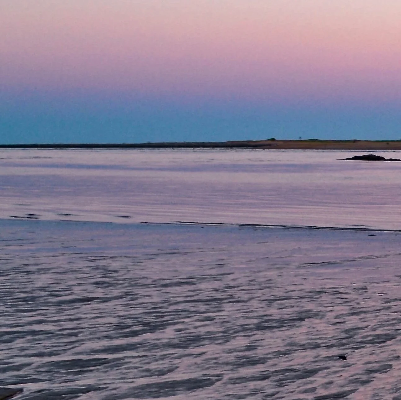 Scorpio New Moon Miniscopes