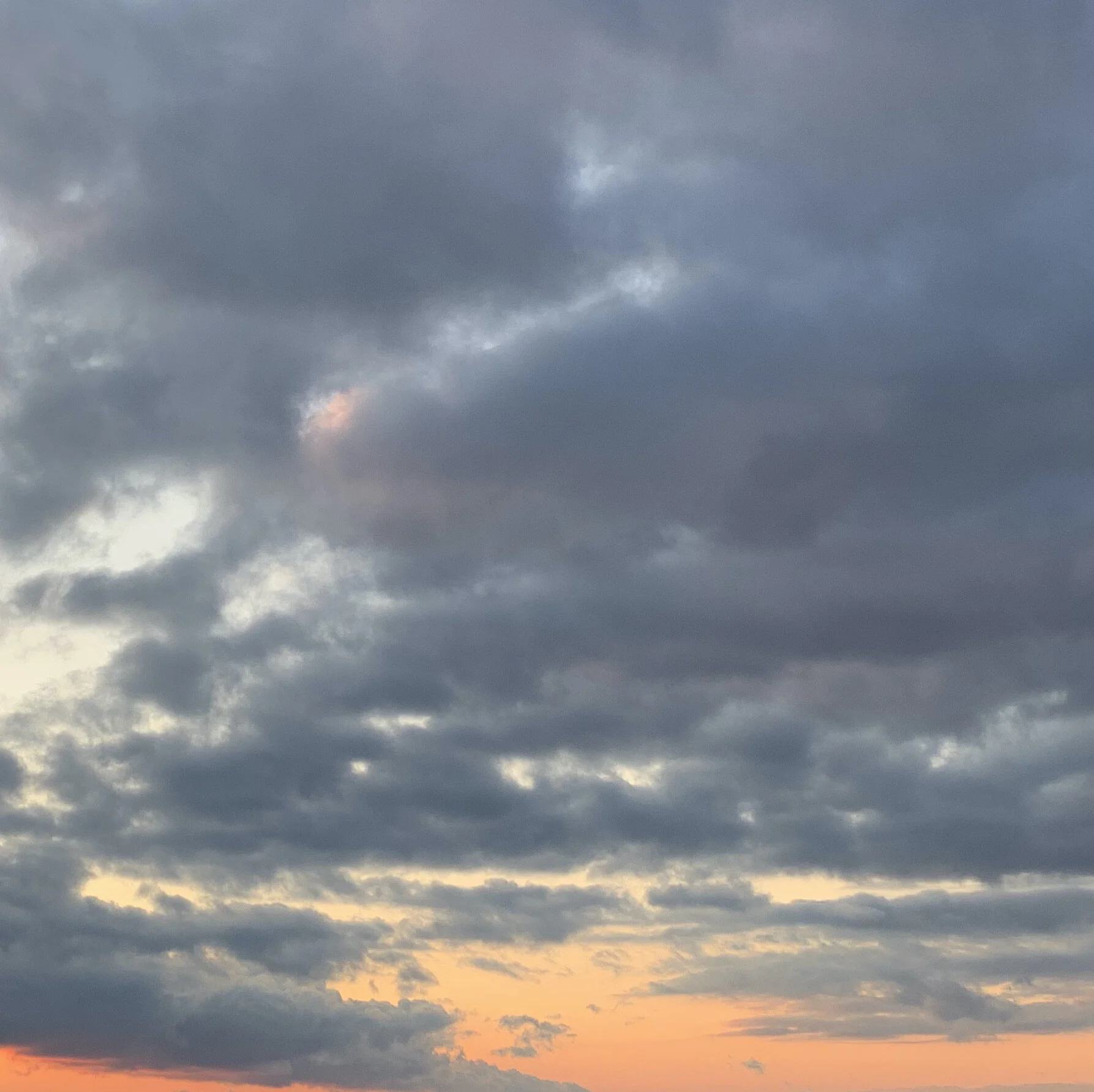 Aquarius New Moon Miniscopes