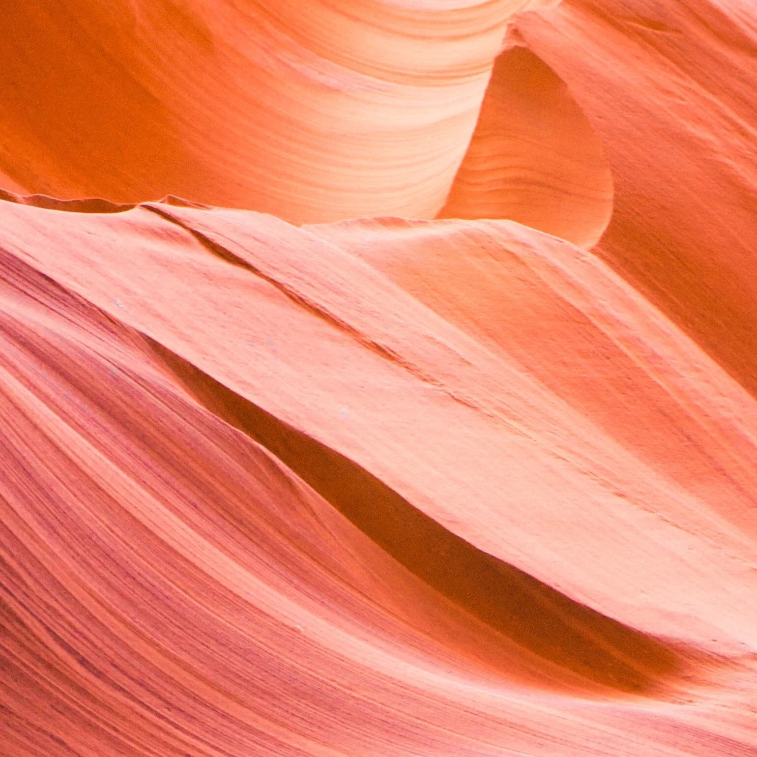 Aries New Moon Miniscopes