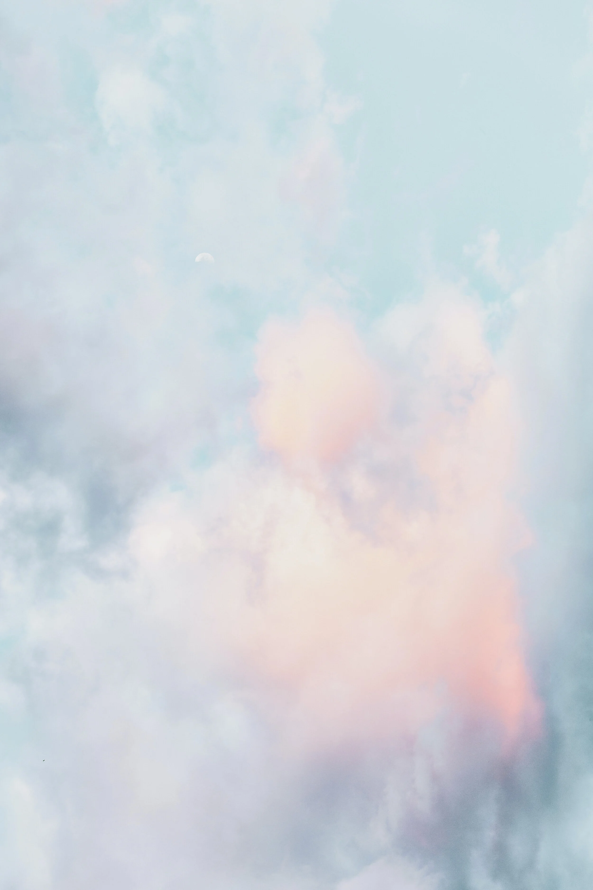 eberhard-grossgasteiger-eamjnHjGJQE-unsplash (2).jpg