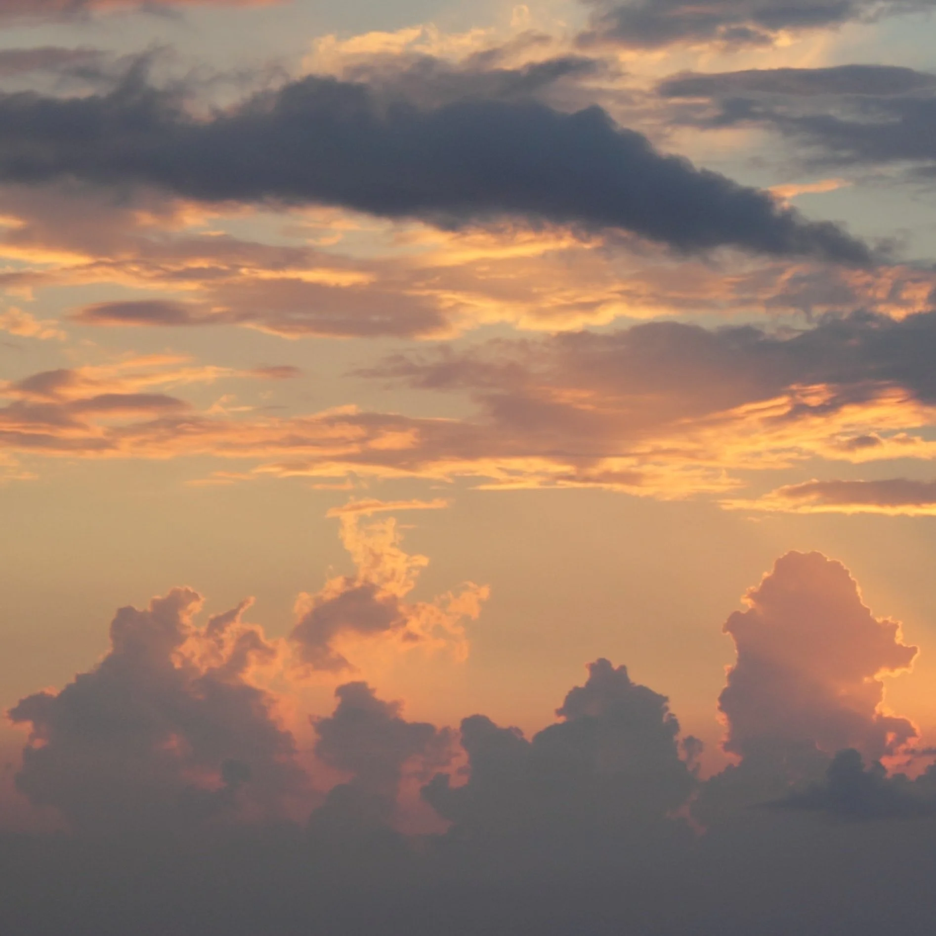 Aquarius Full Moon Miniscopes