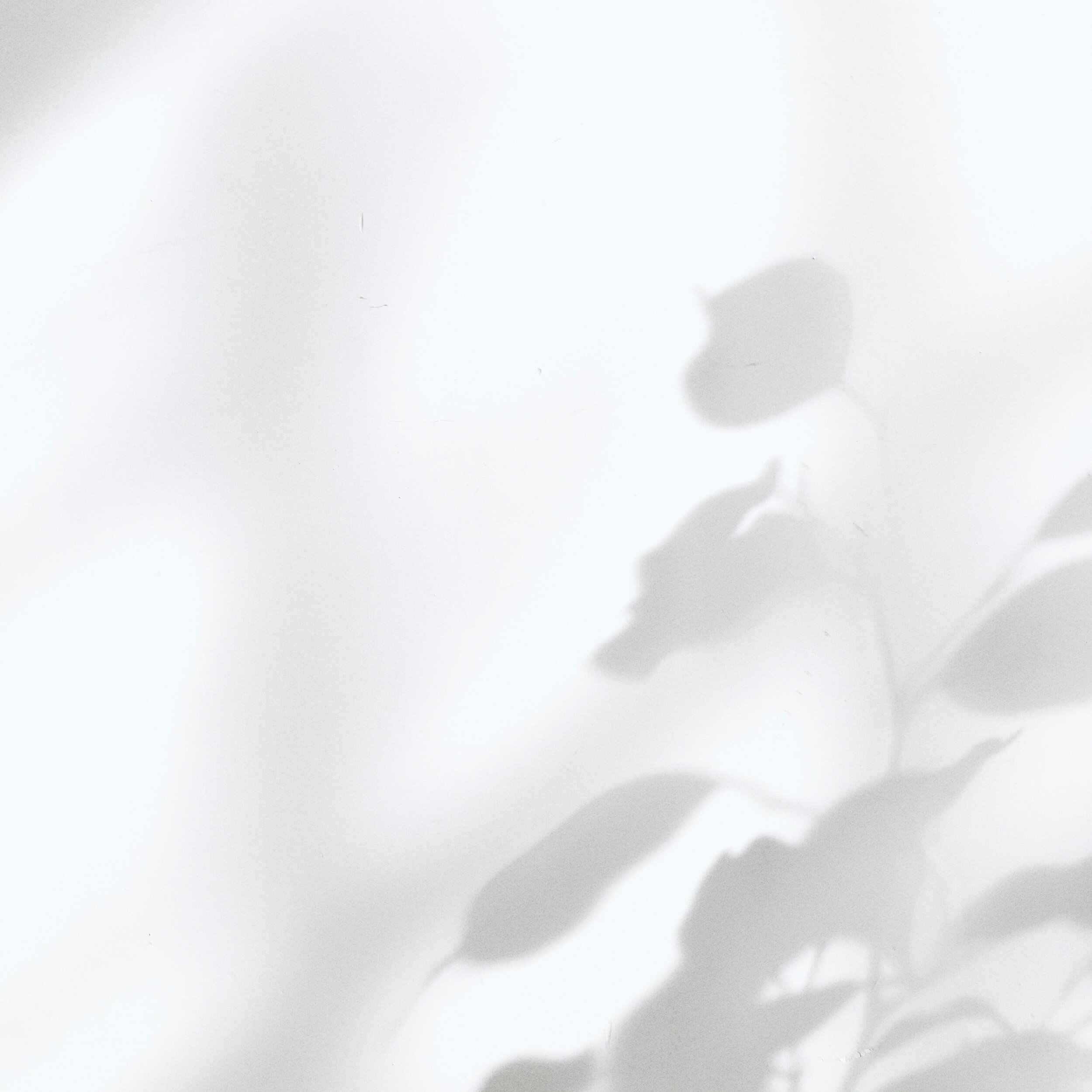 Virgo New Moon Miniscopes