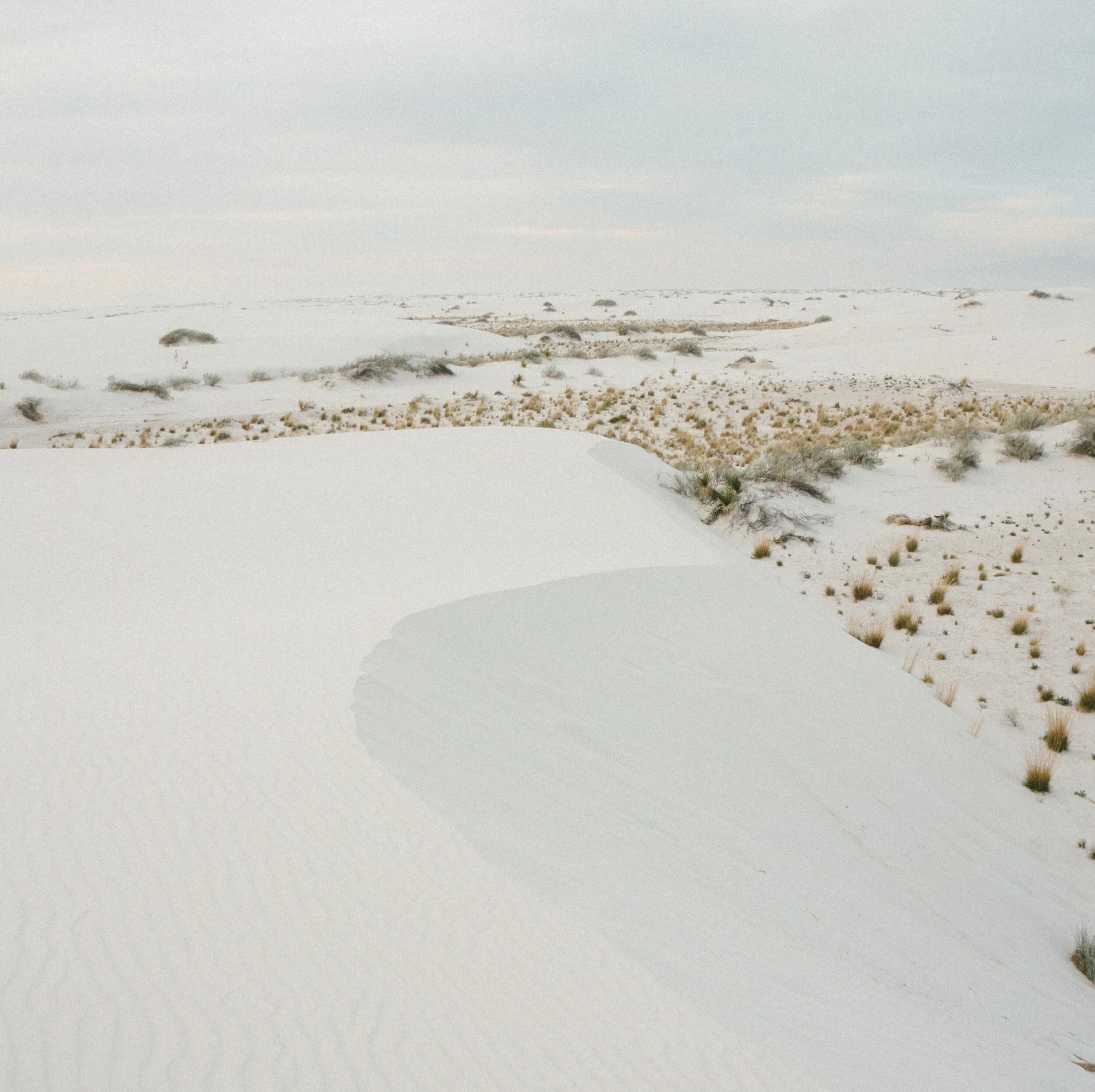 Aries Full Moon Miniscopes