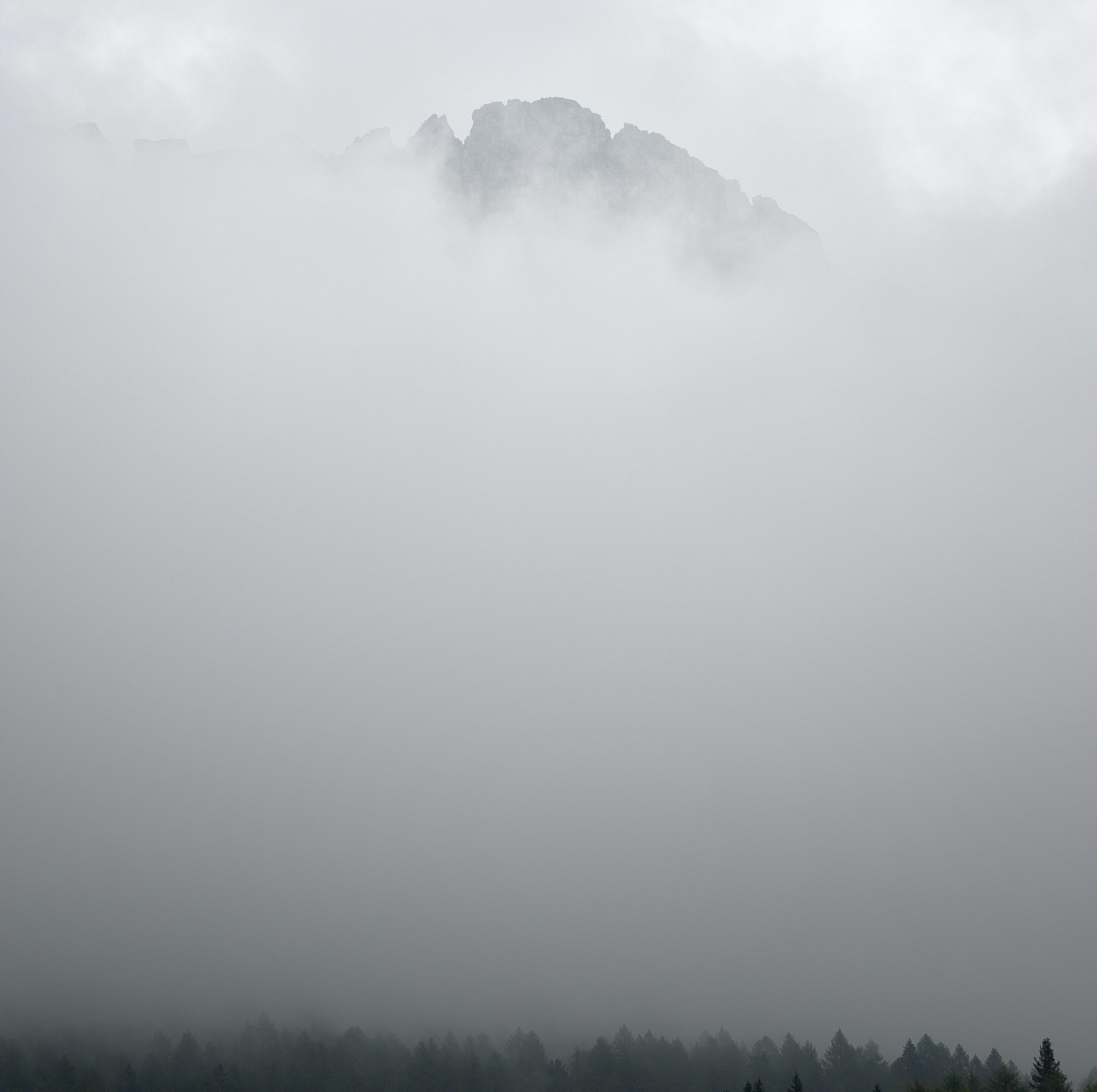 Capricorn New Moon Miniscopes