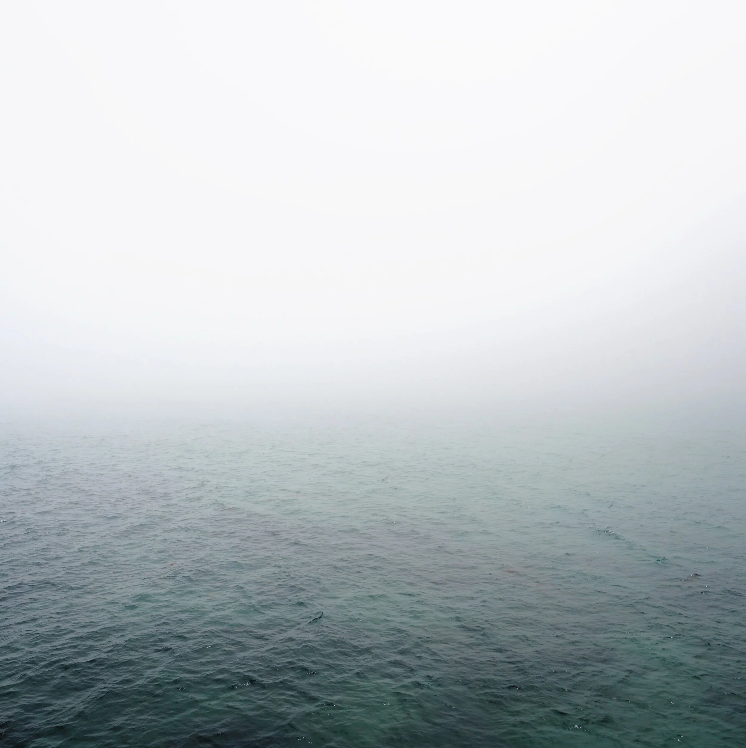 Cancer Full Moon Miniscopes