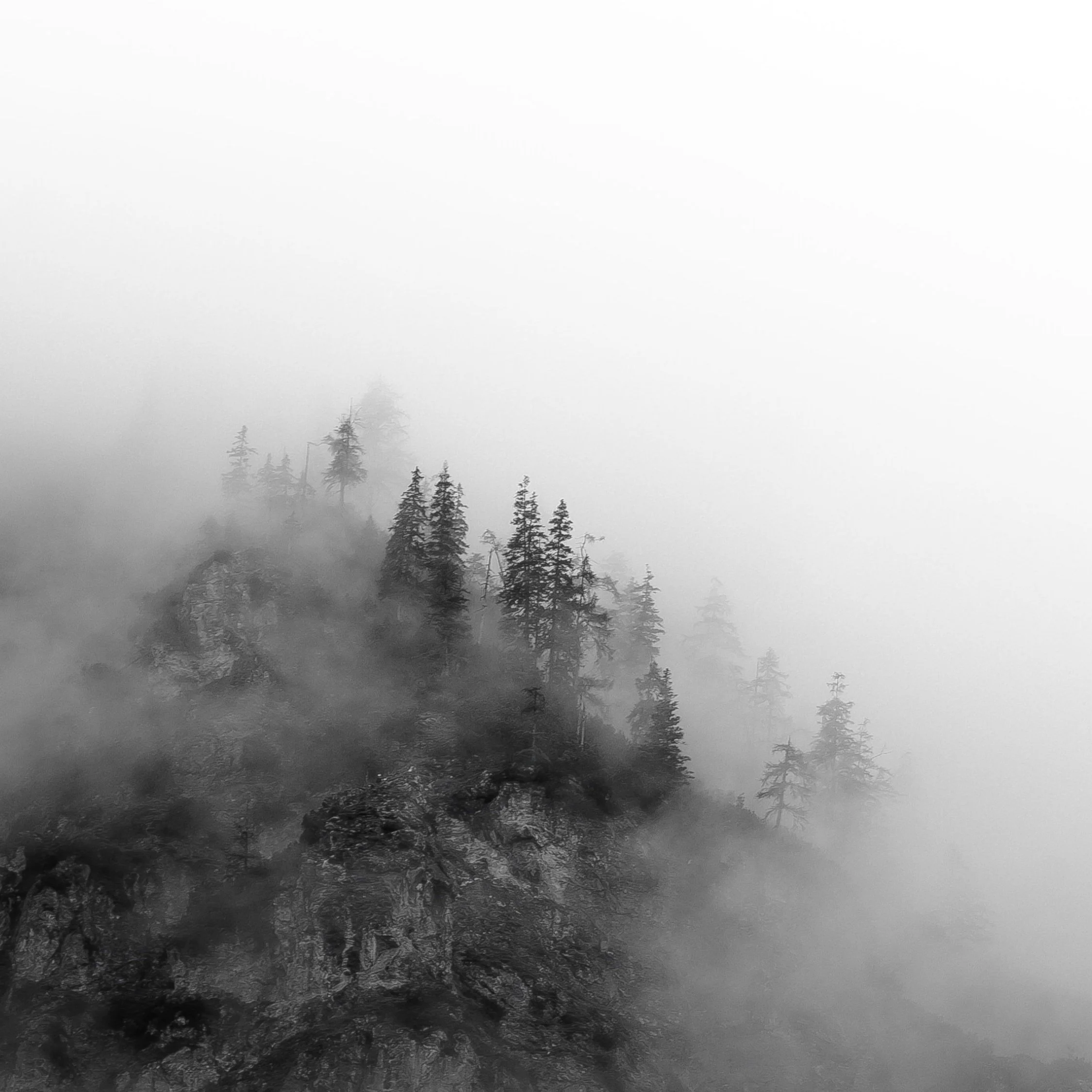 Scorpio Lunar Eclipse Miniscopes