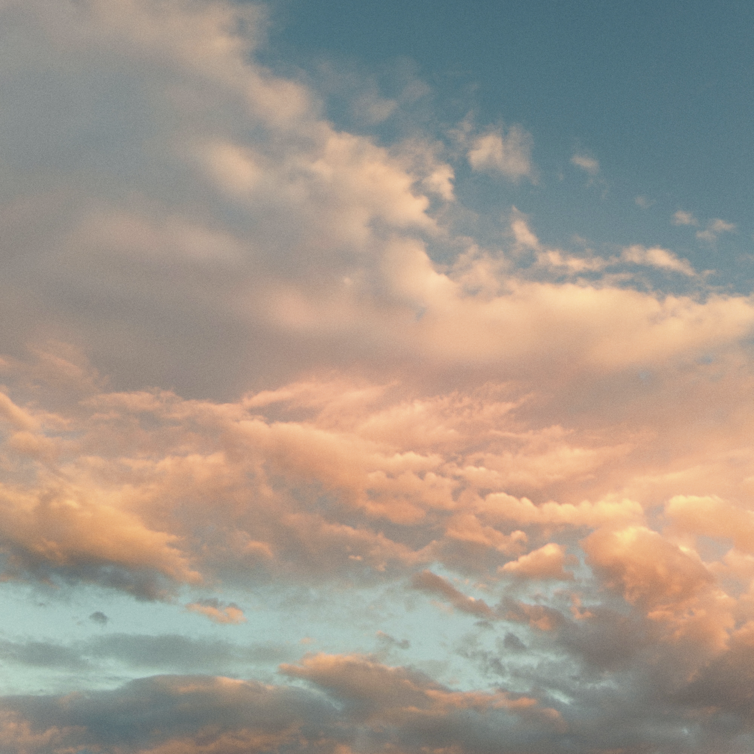 Gemini New Moon Miniscopes