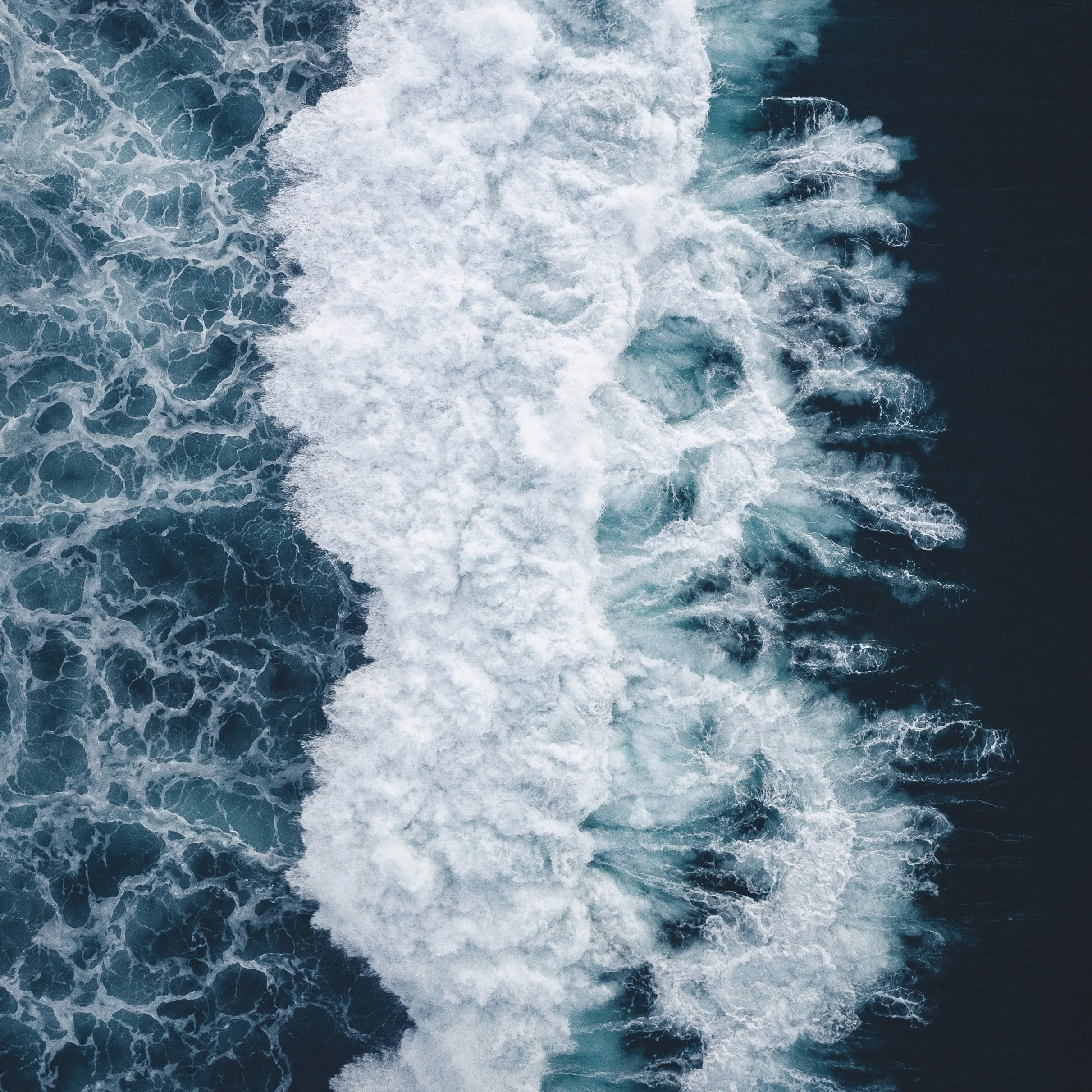 Cancer New Moon Miniscopes