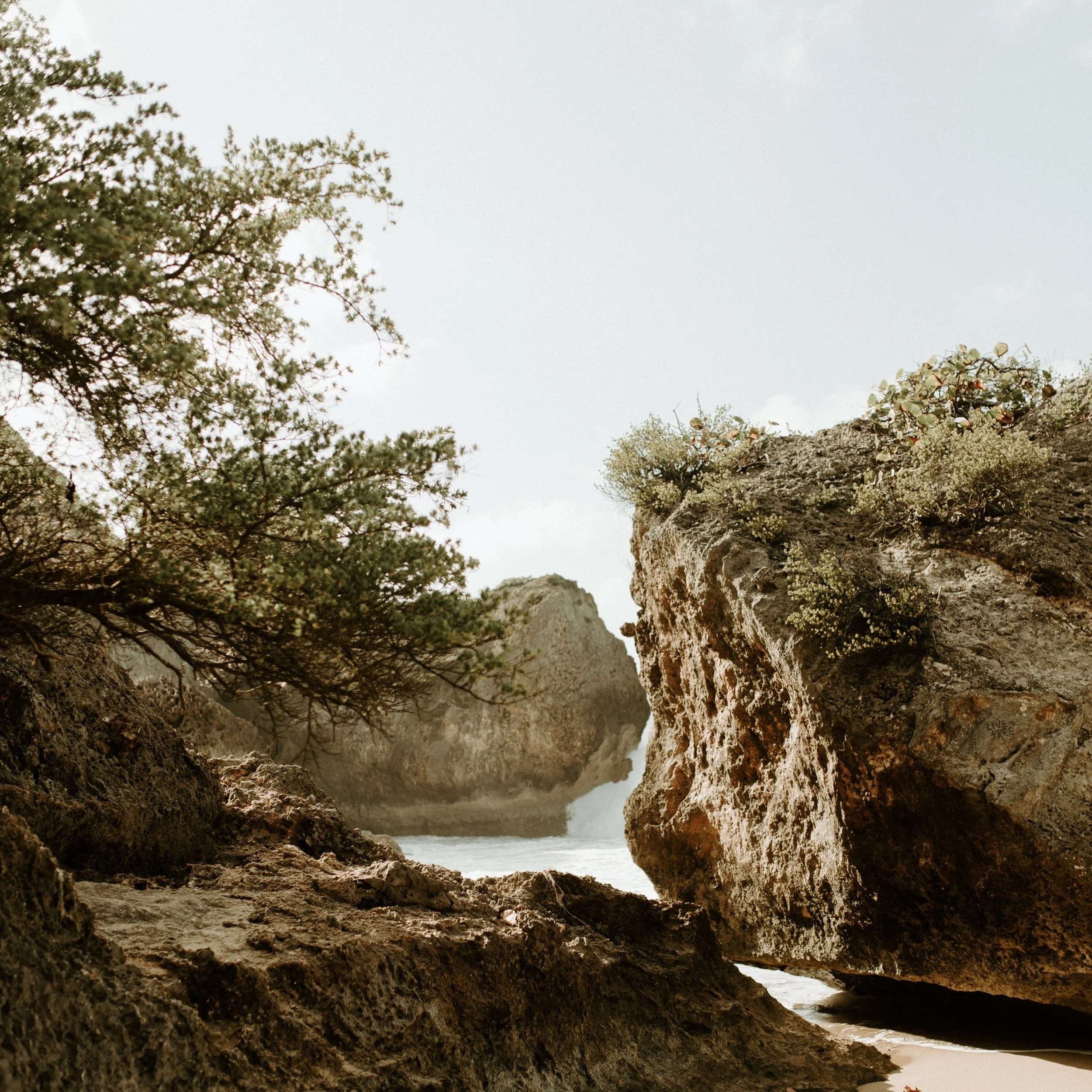 Capricorn Full Moon Miniscopes