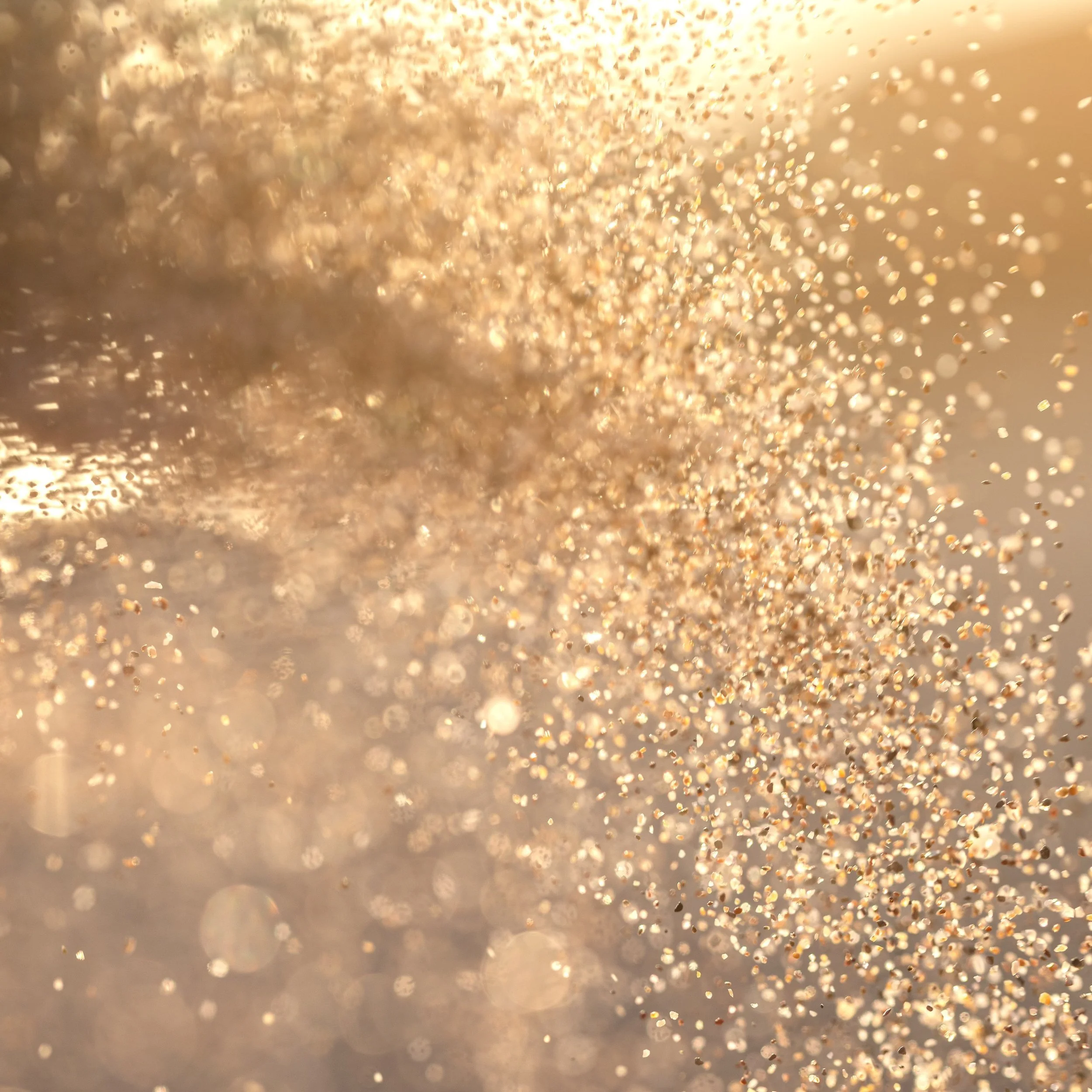 Leo New Moon Miniscopes