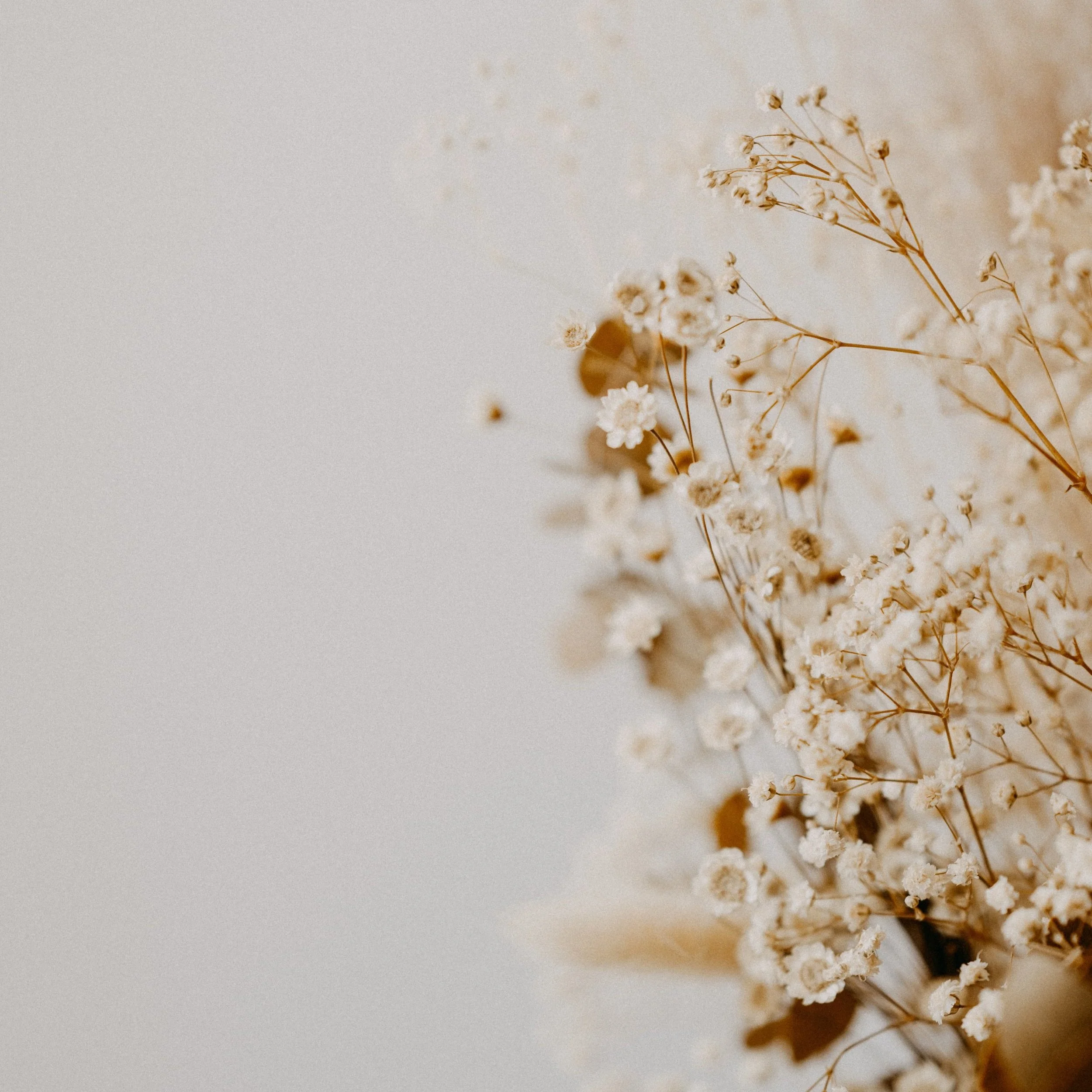 Virgo New Moon Miniscopes