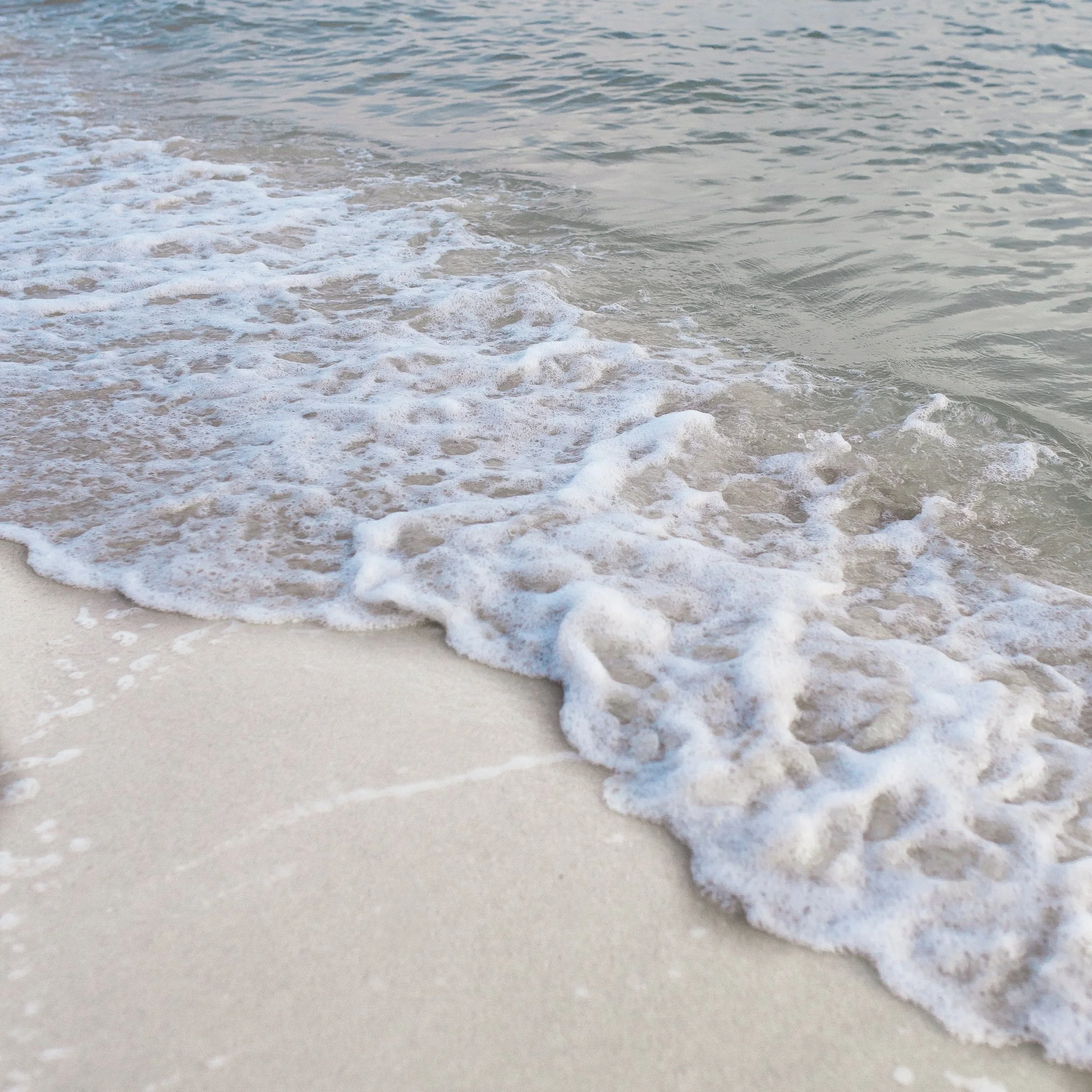 Pisces Full Moon Miniscopes