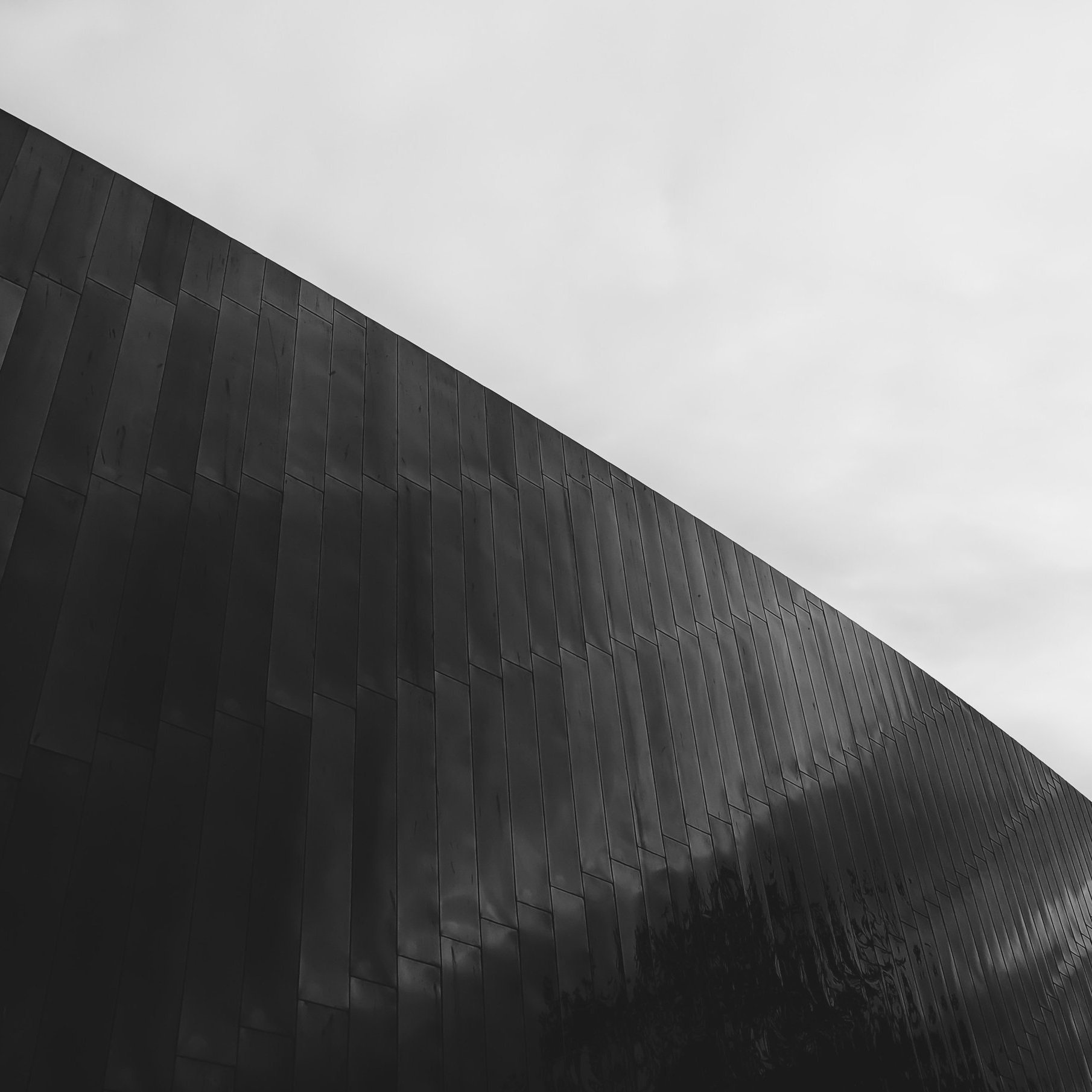 Libra New Moon Miniscopes