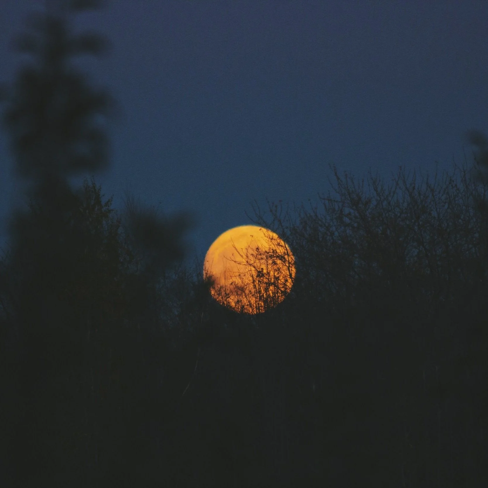 Taurus Lunar Eclipse Miniscopes