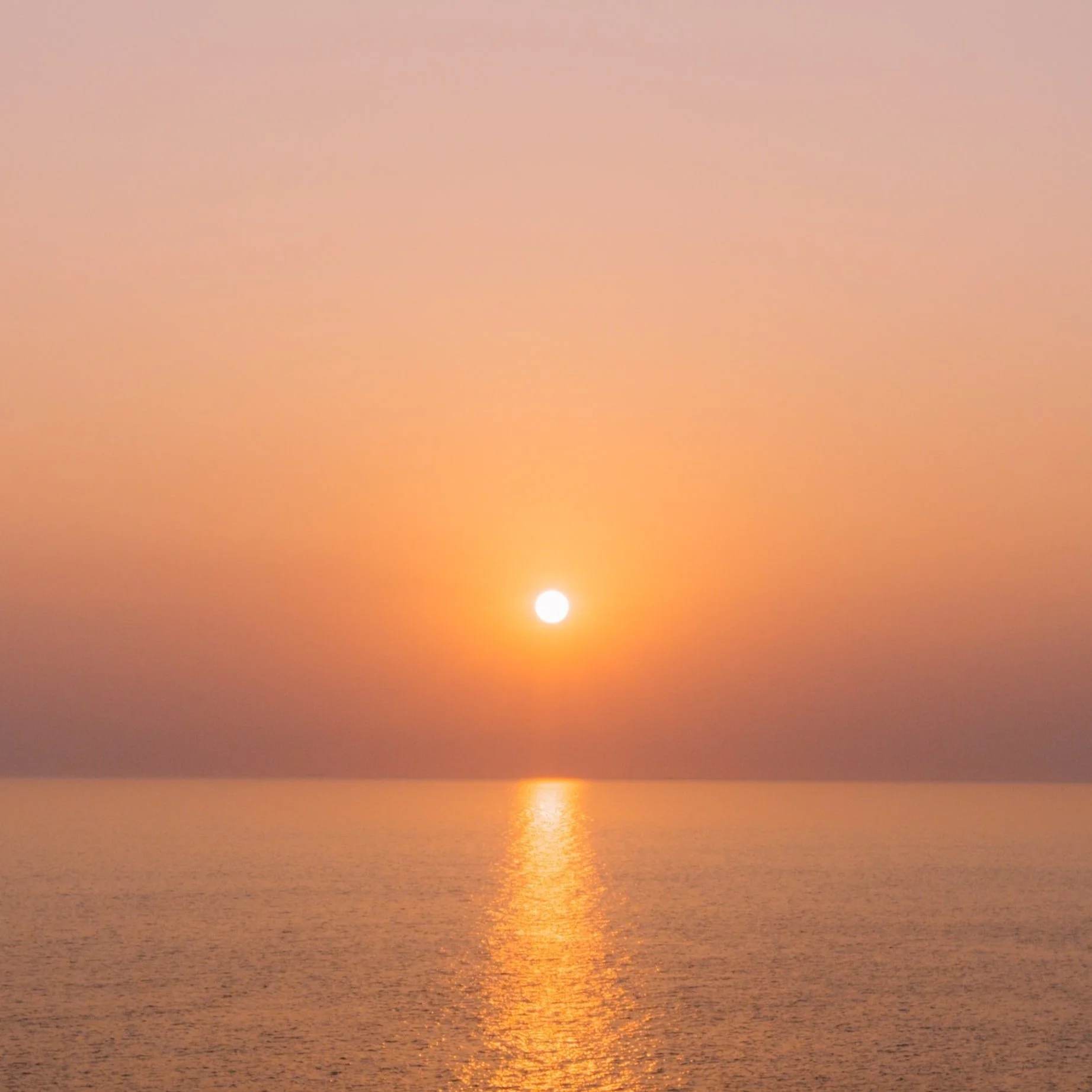 Leo Full Moon Miniscopes