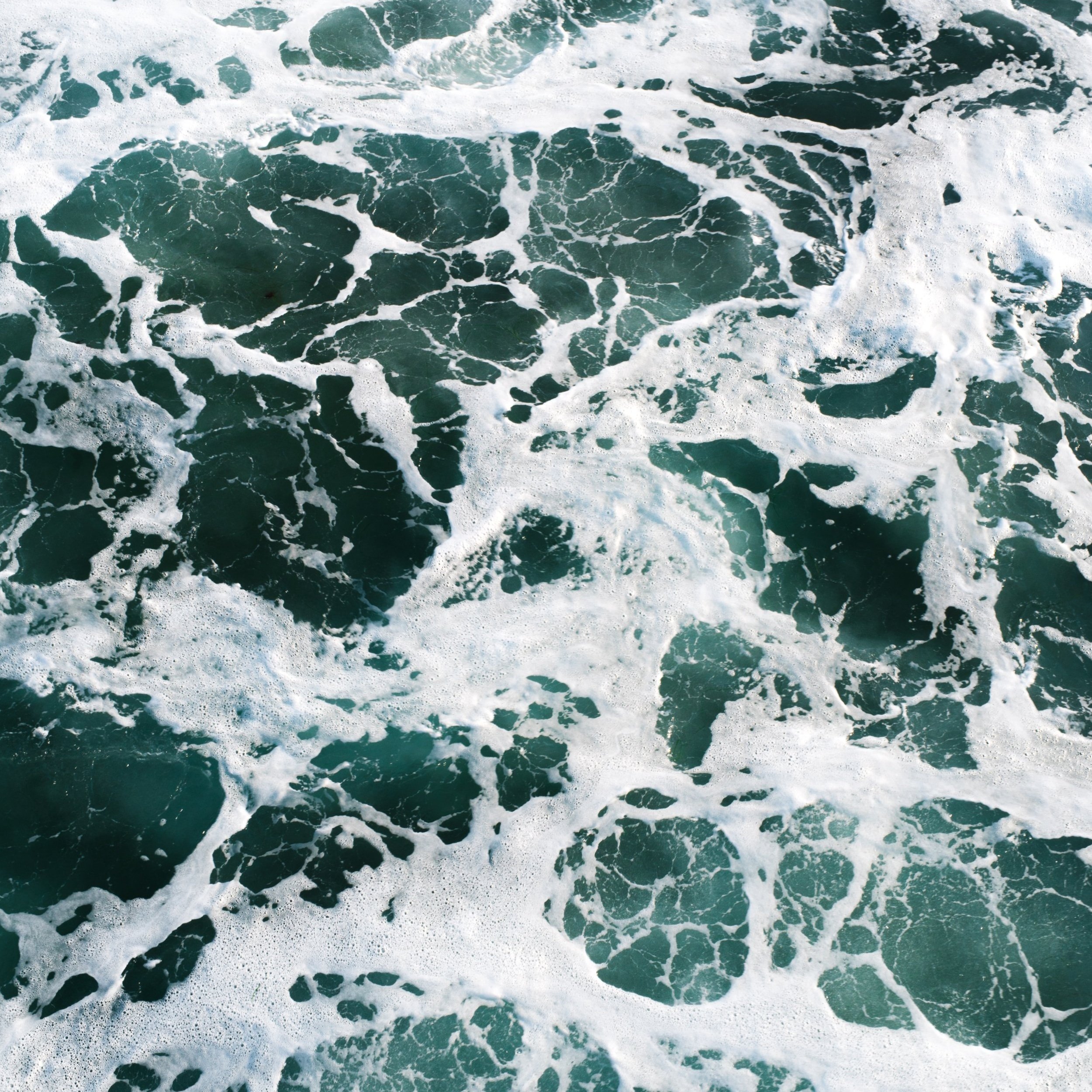 Pisces New Moon Miniscopes
