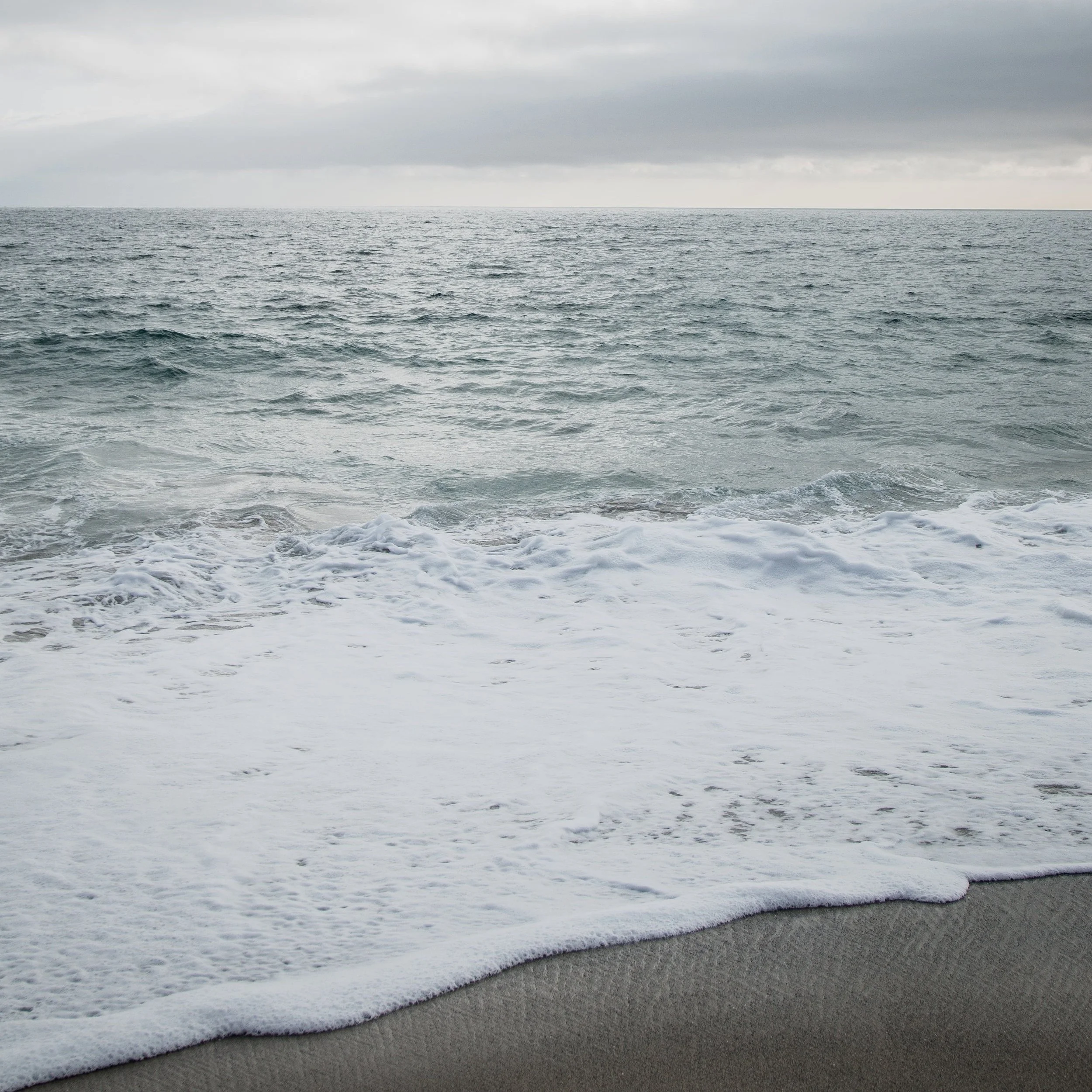Cancer New Moon Miniscopes