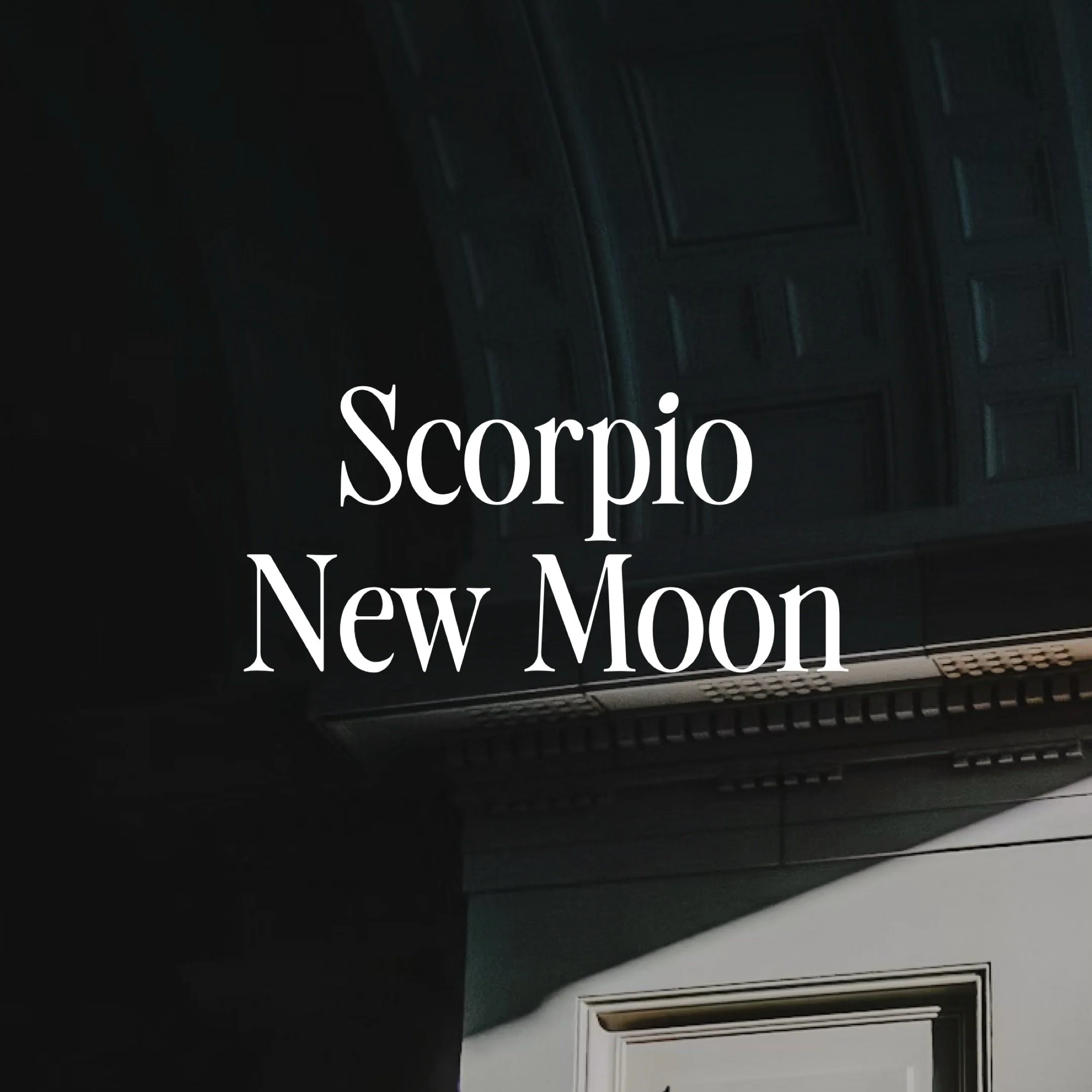 Scorpio New Moon Miniscopes