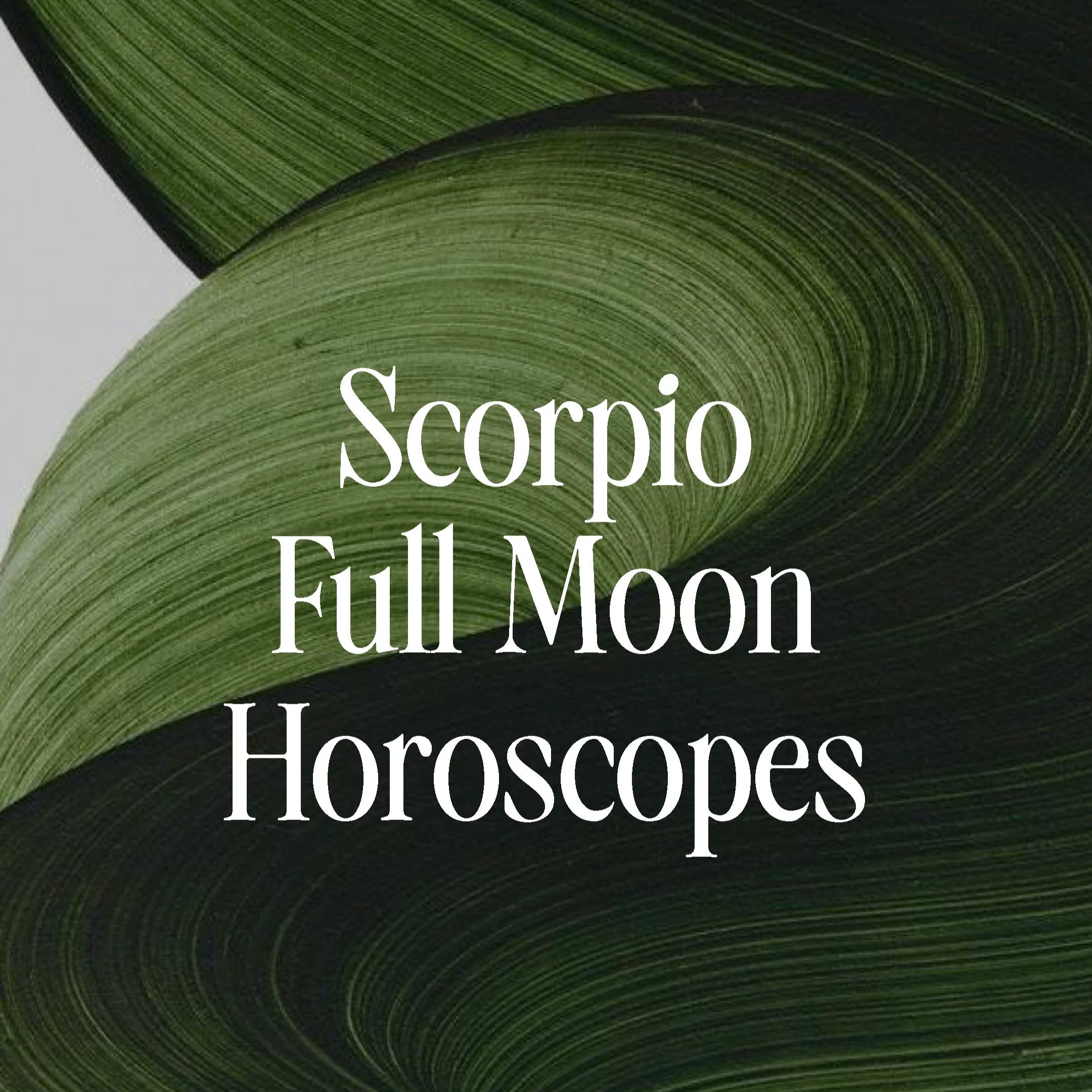Scorpio Full Moon Miniscopes