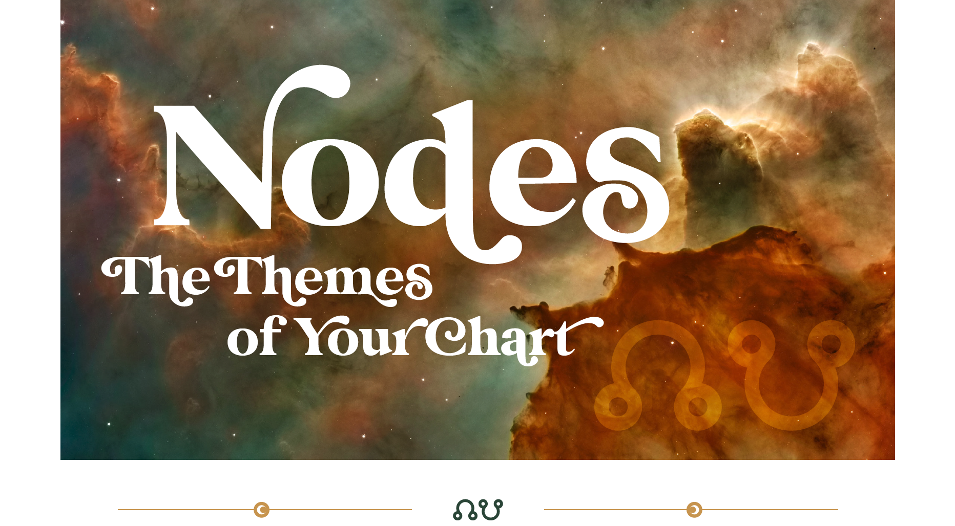 Screenshot 2026-02-17 at 08.14.50.png