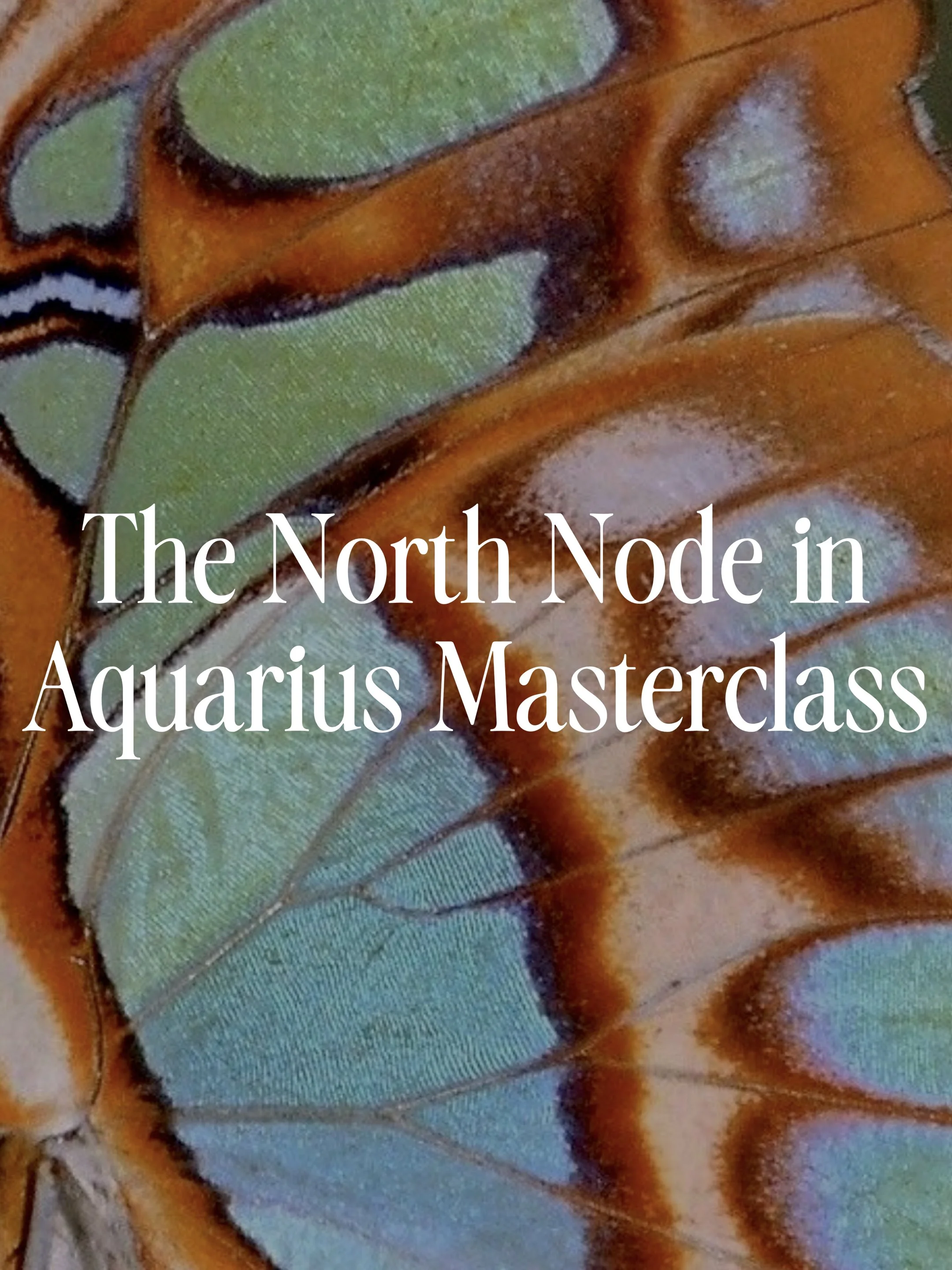 A New Reality Masterclass
